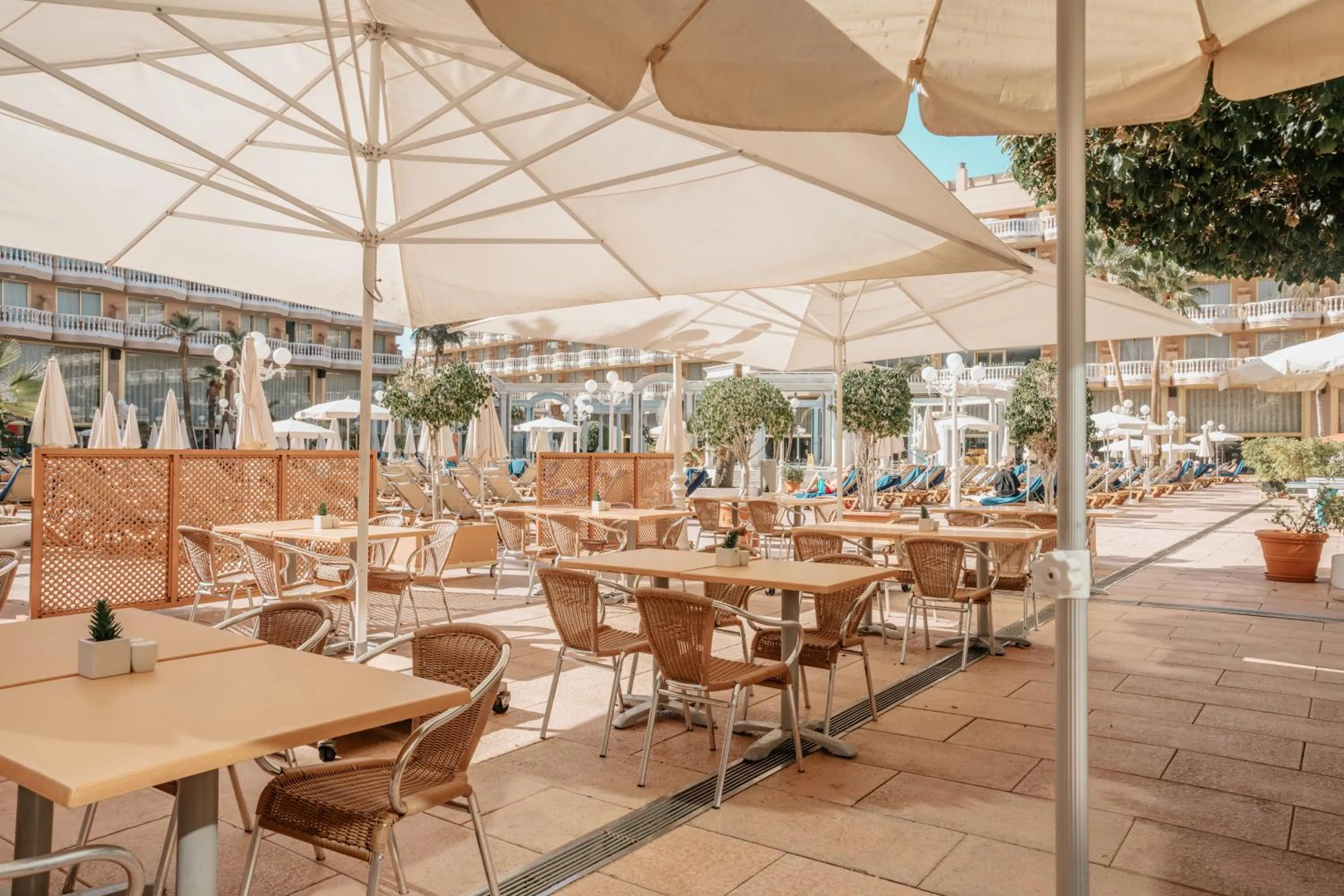 Lounge or bar in Hotel Cleopatra Palace