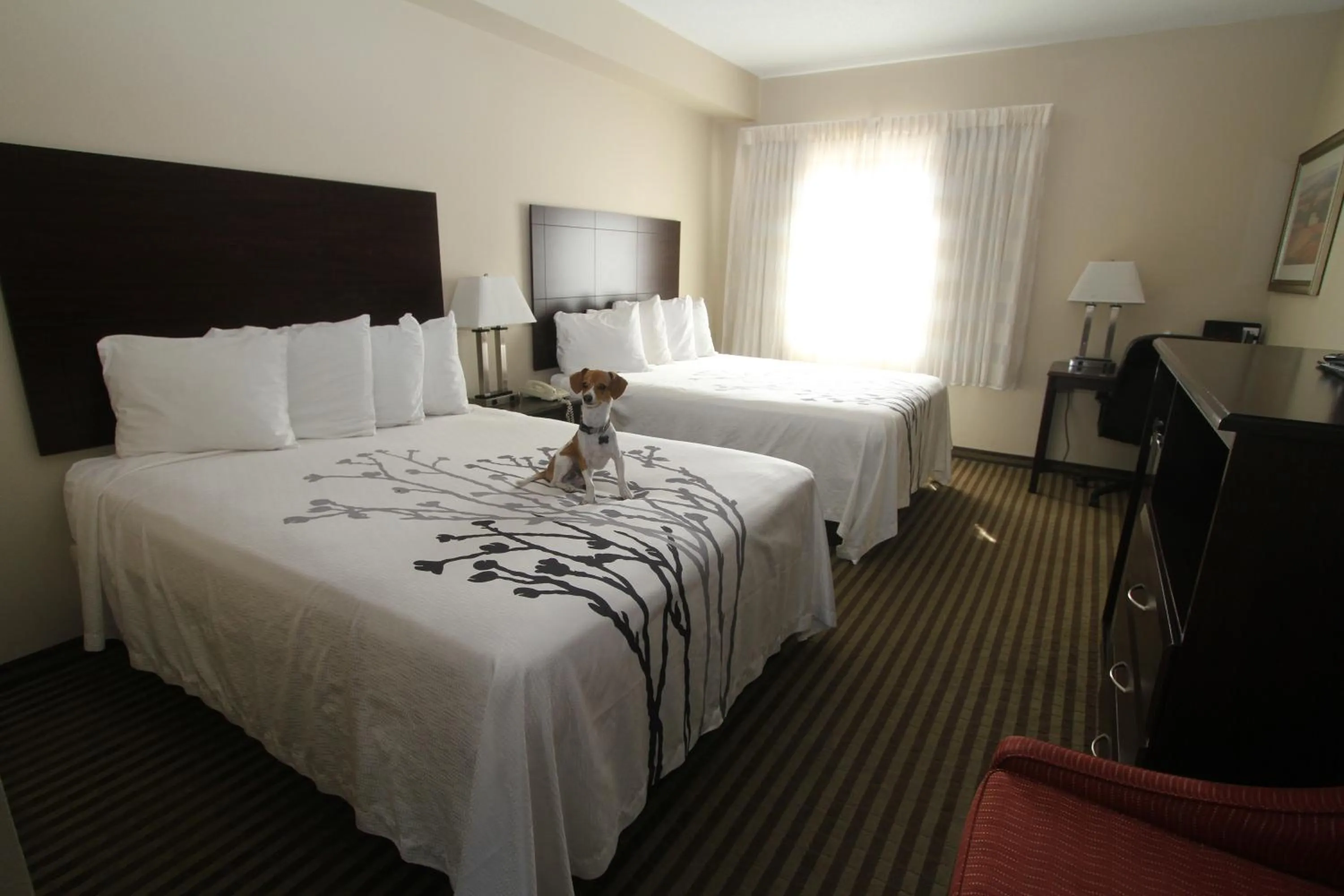 Bed in Bowman Inn and Suites