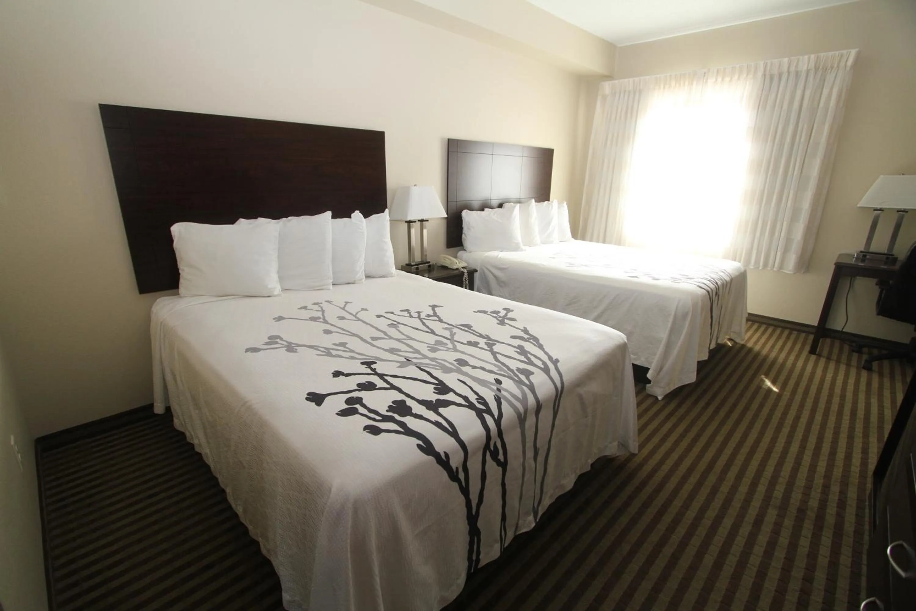 Photo of the whole room, Bed in Bowman Inn and Suites