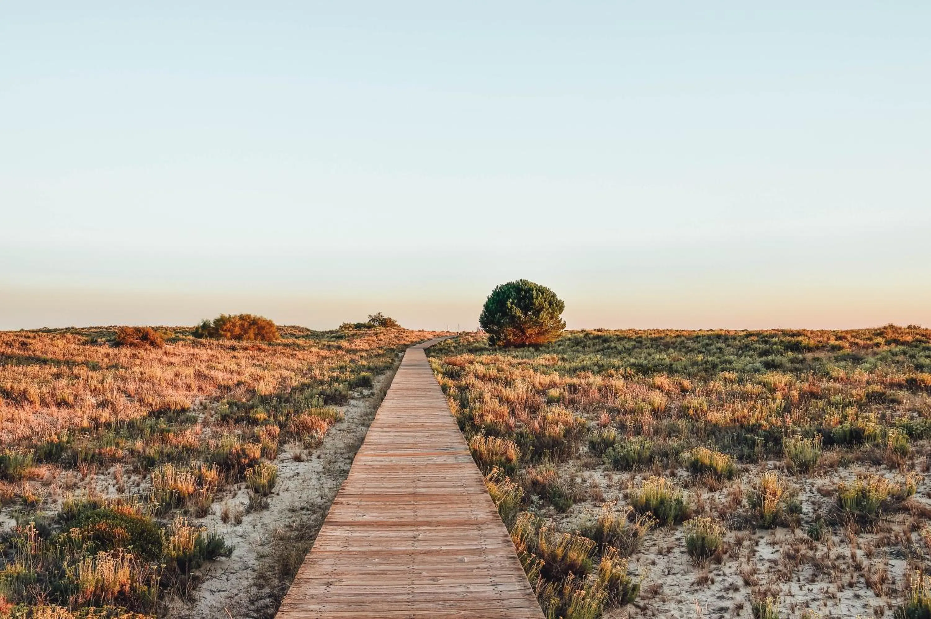 View (from property/room) in The Editory By The Sea Troia Comporta Hotel