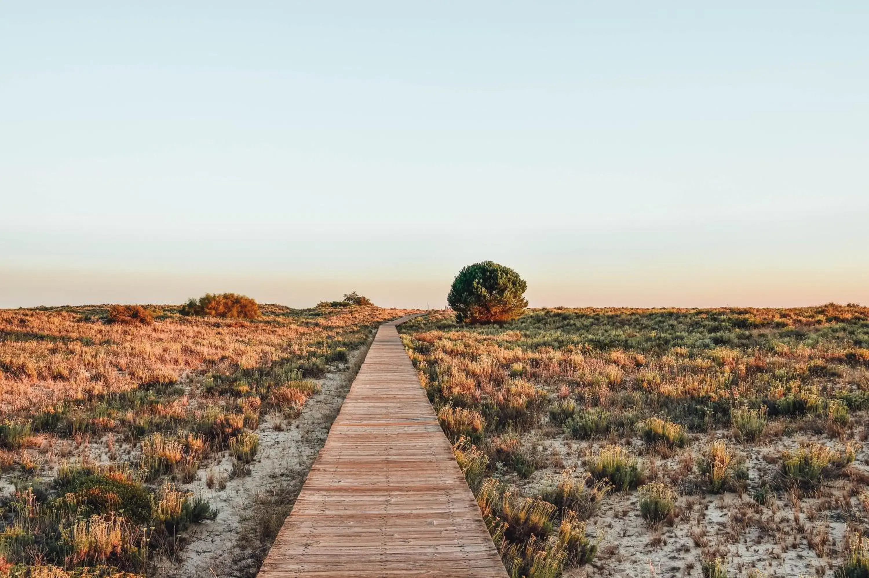 View (from property/room) in The Editory By The Sea Troia Comporta Hotel View (from property/room) in The Editory By The Sea Troia Comporta Hotel
