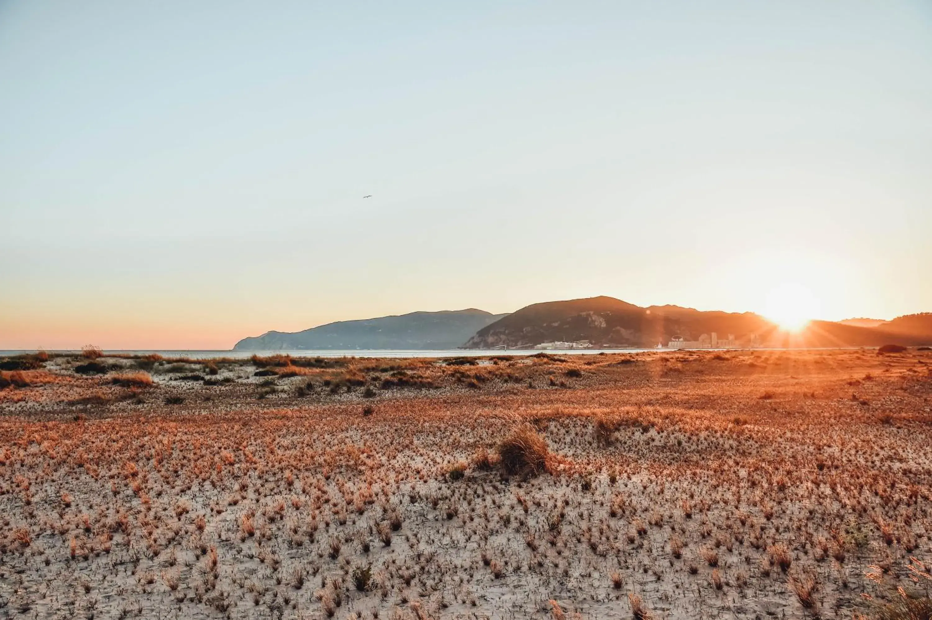 View (from property/room) in The Editory By The Sea Troia Comporta Hotel View (from property/room) in The Editory By The Sea Troia Comporta Hotel