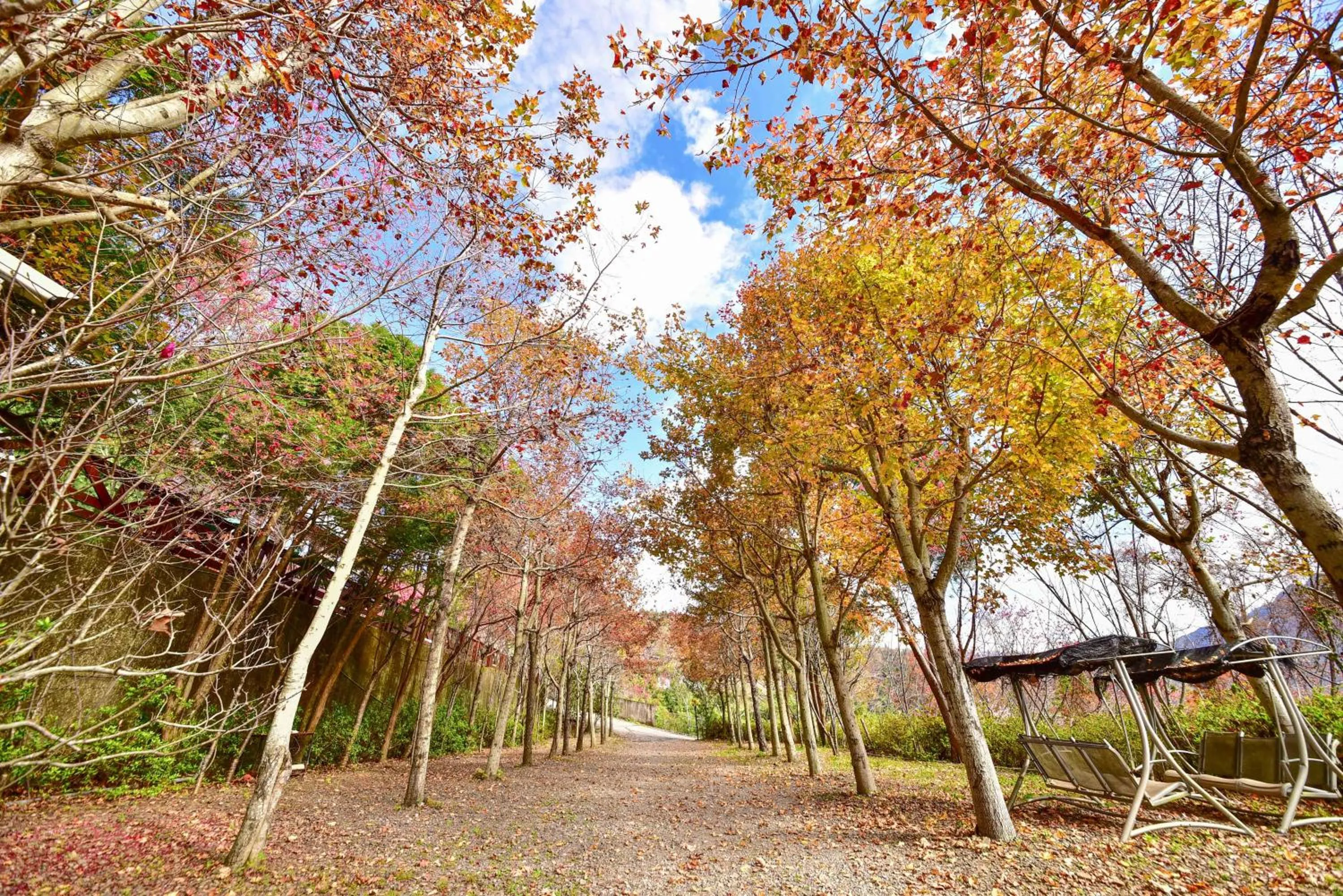 Garden view in Beverly B&B