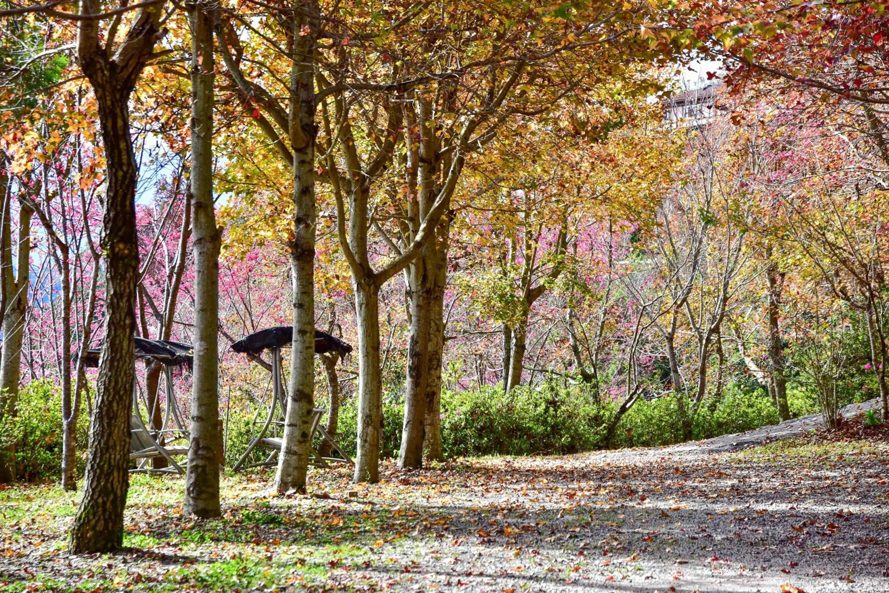 Garden in Beverly B&B