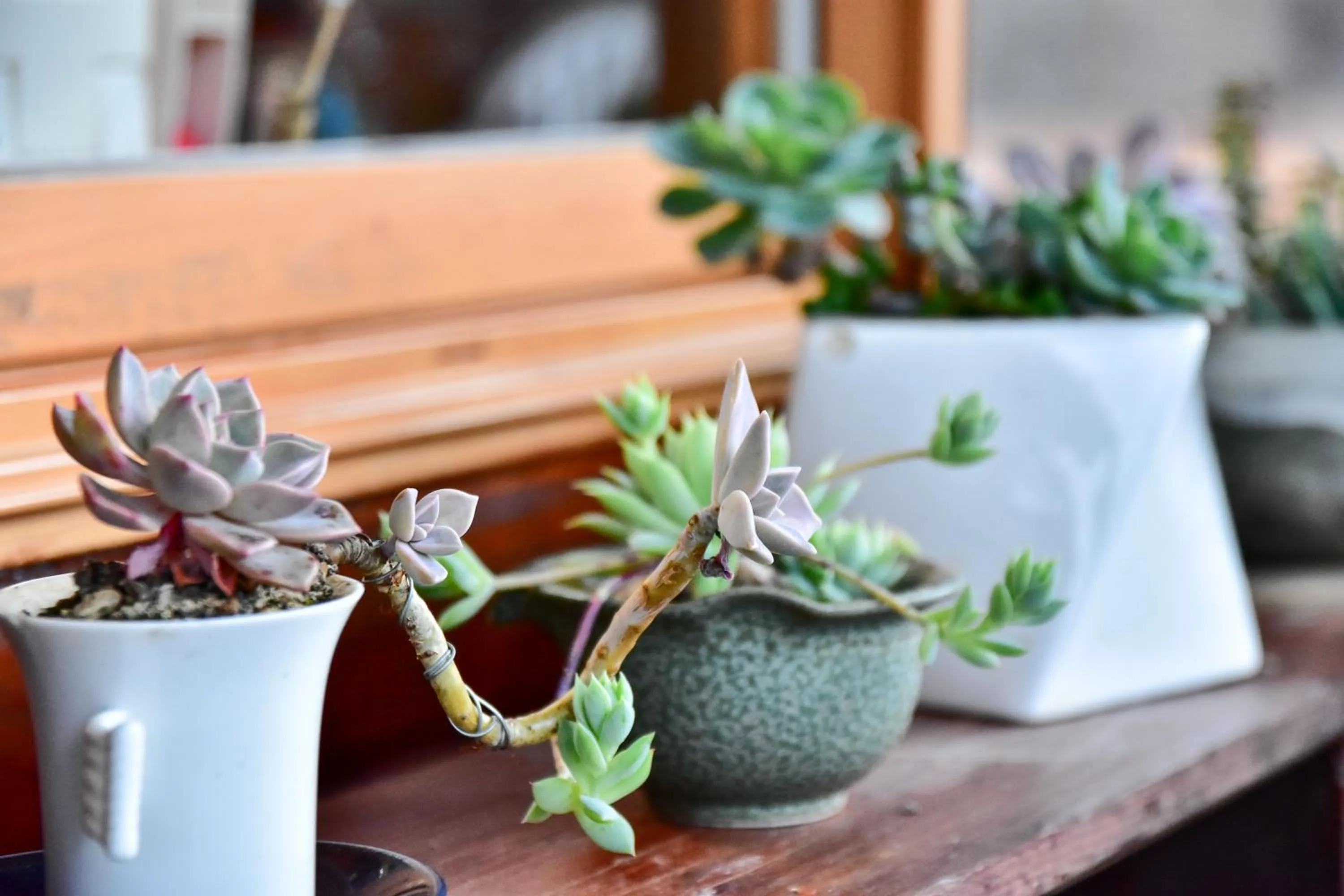 Balcony/Terrace in Beverly B&B