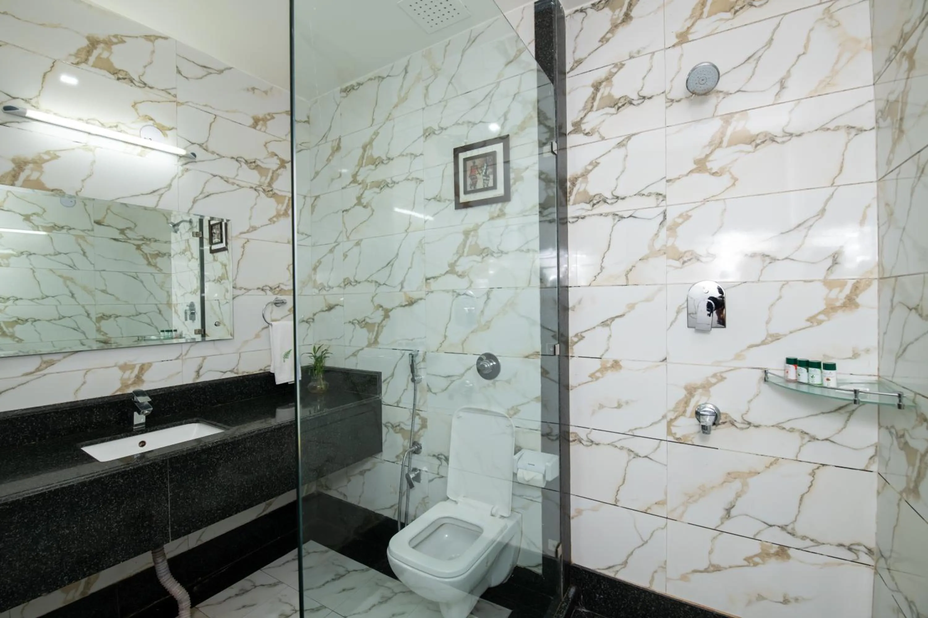 Shower in The Fern Residency Katra