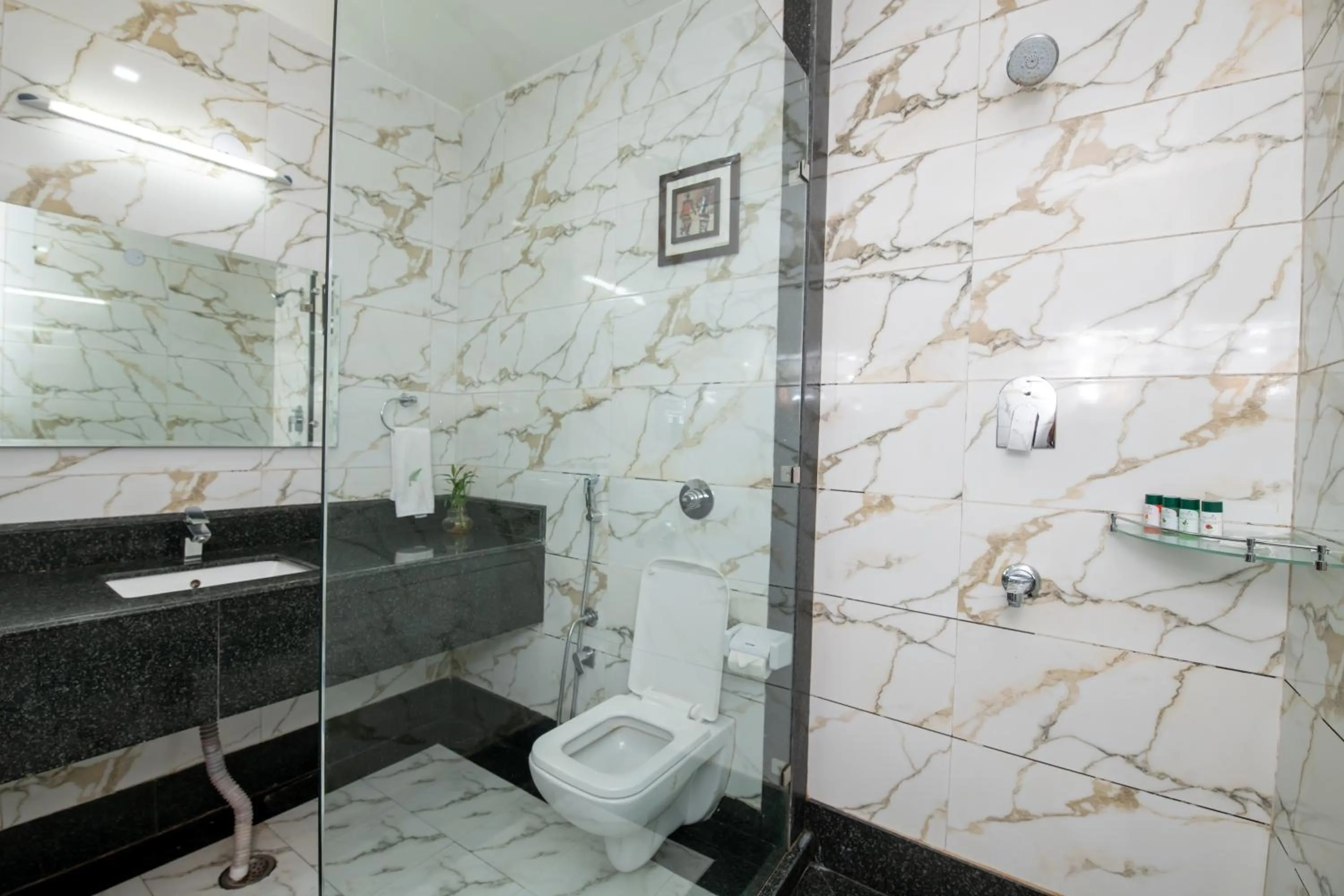 Shower in The Fern Residency Katra