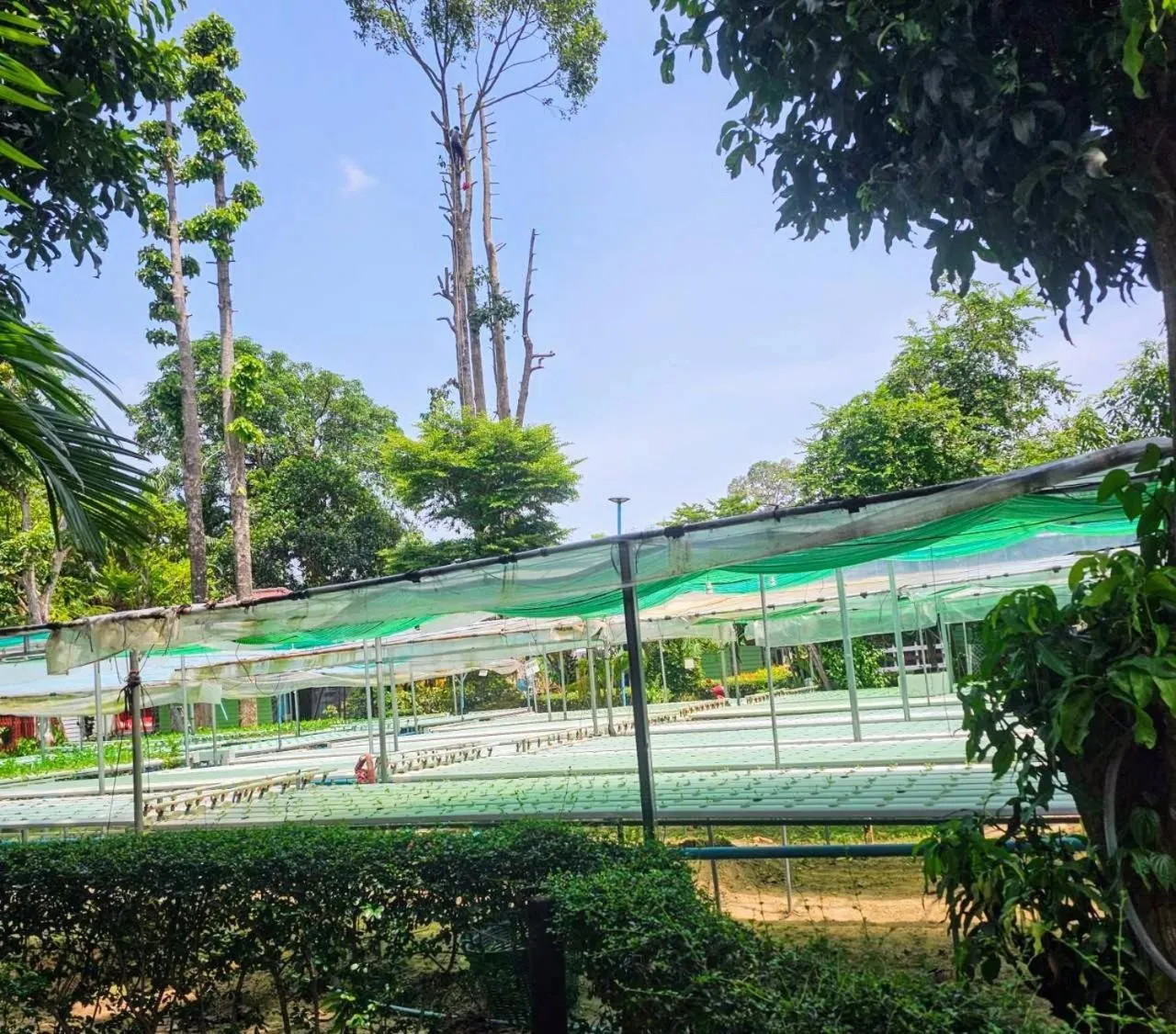 Everest Resort Samui - SHA Plus