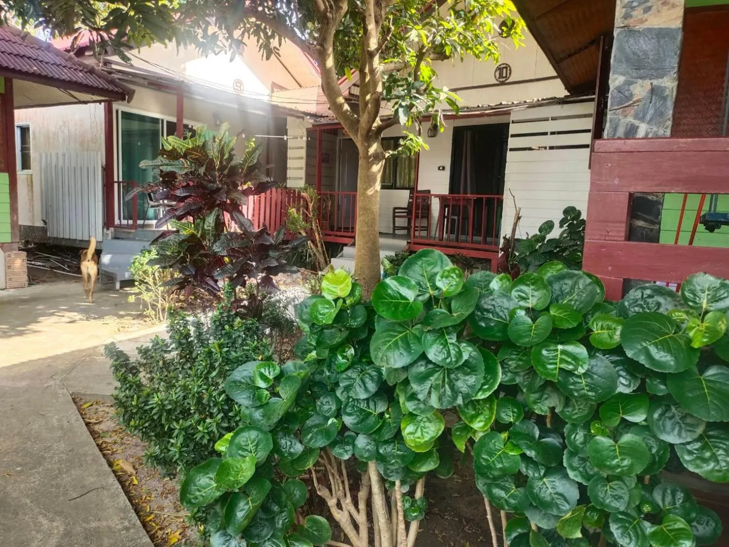 Everest Resort Samui - SHA Plus