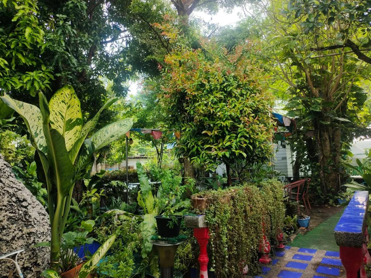 Everest Resort Samui - SHA Plus