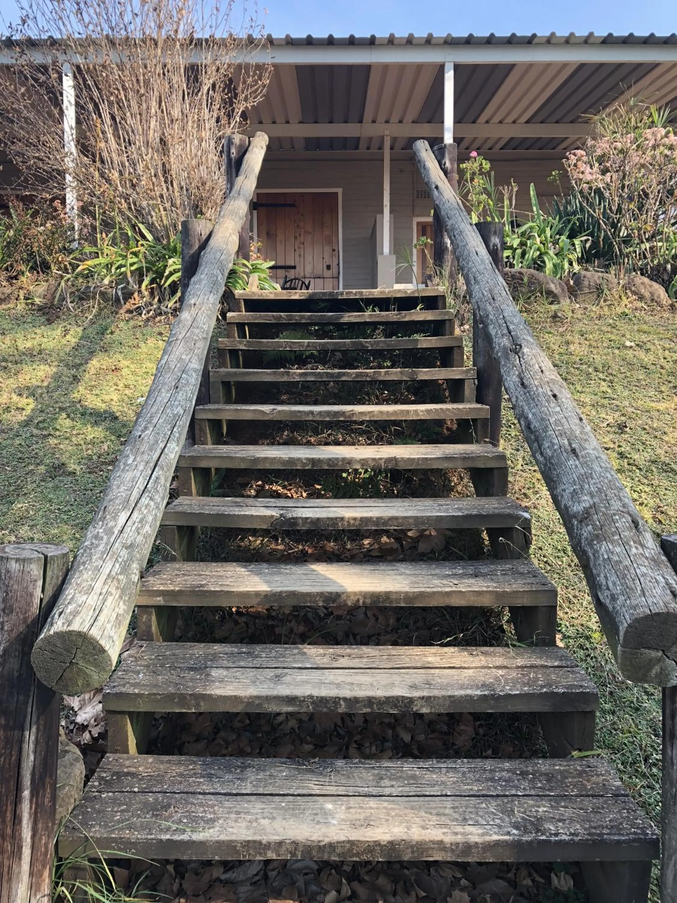 Garden in Notting Hill Lodge