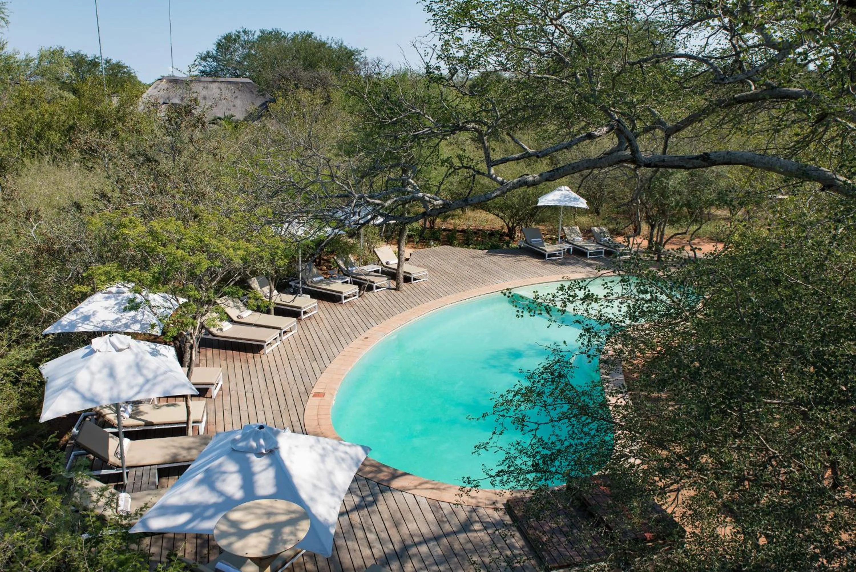 Pool view in Unembeza Boutique Lodge & Spa