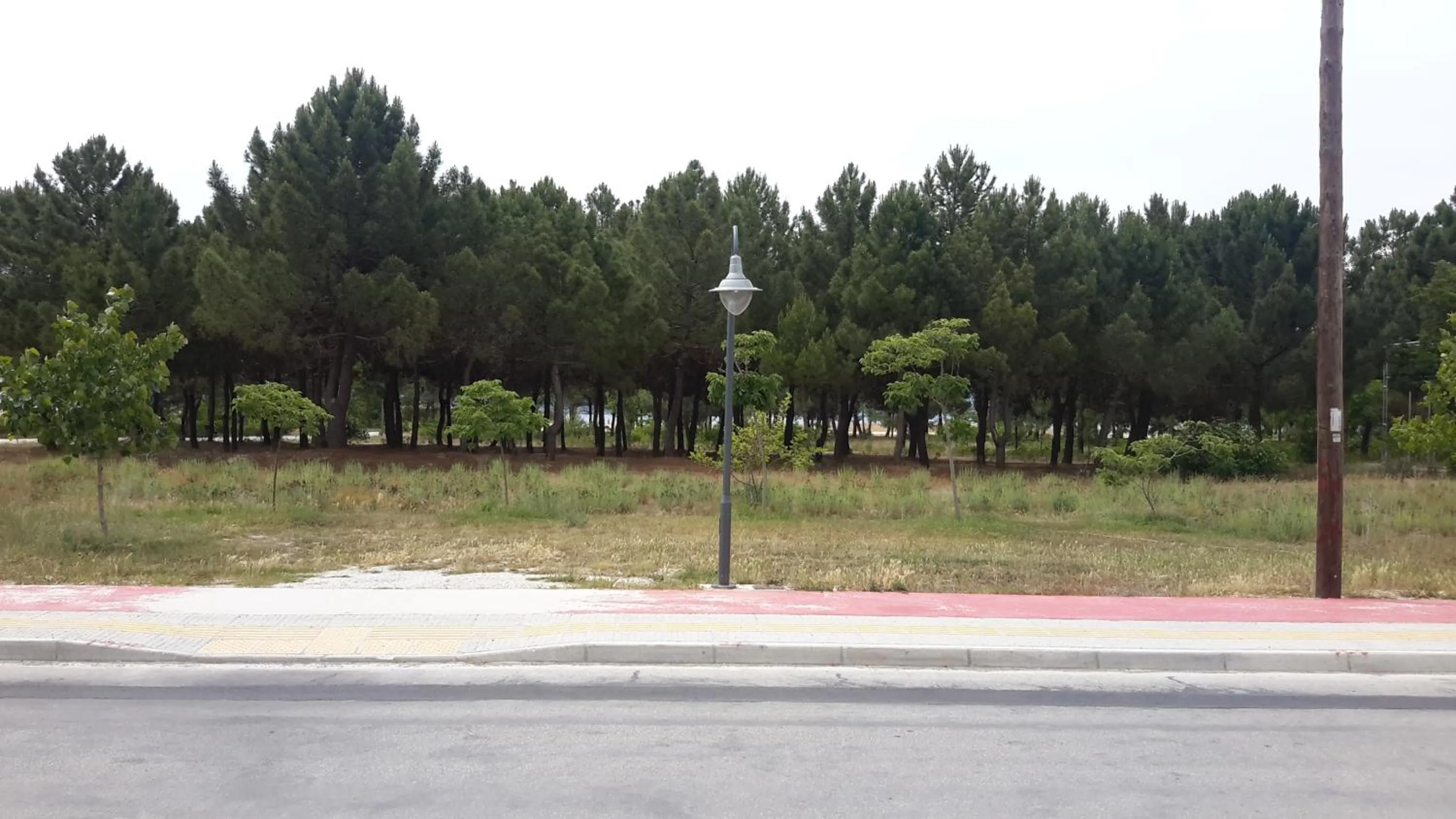 Natural landscape in Irini Apartments