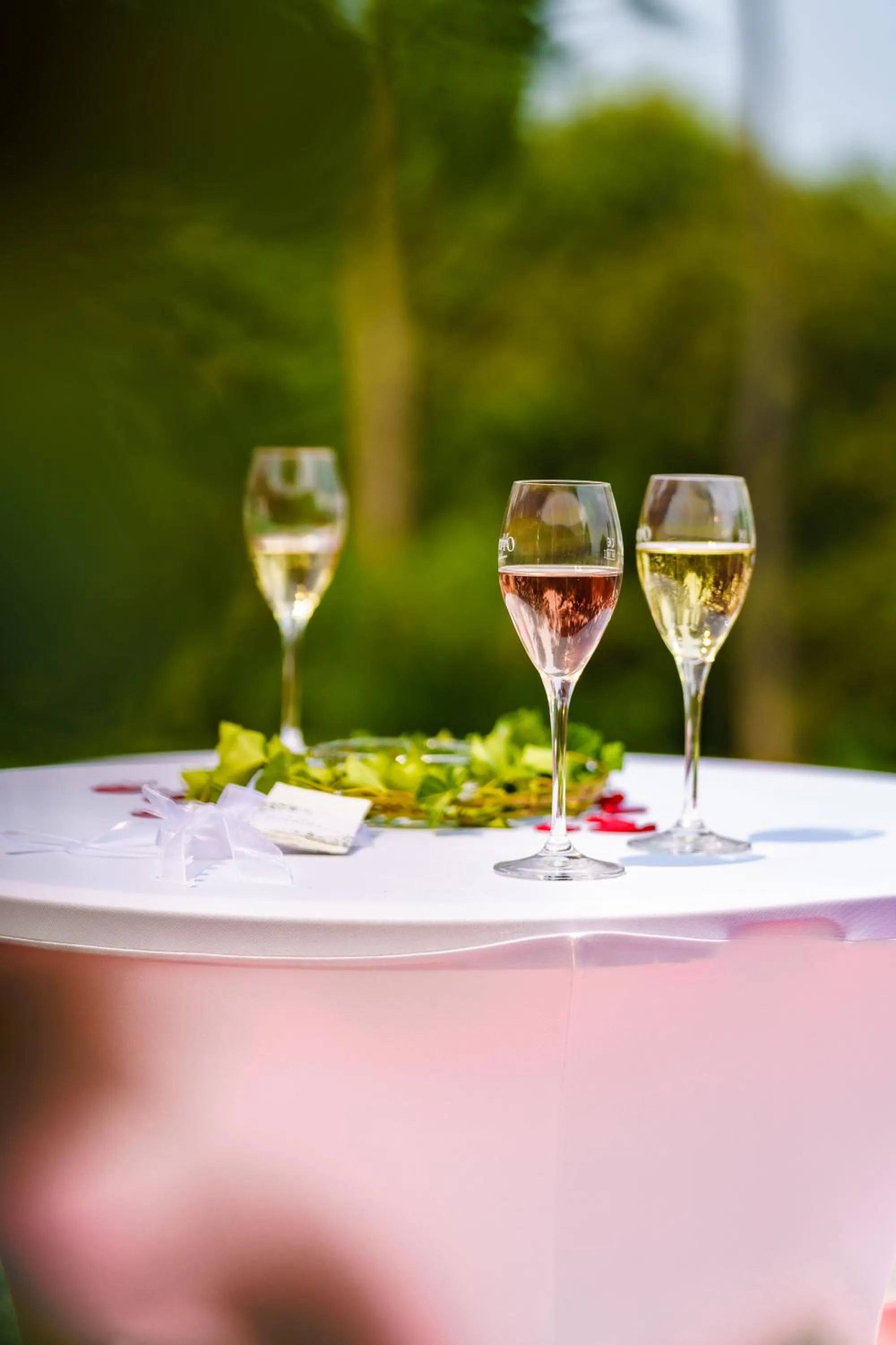 Banquet/Function facilities in Dreilandhof