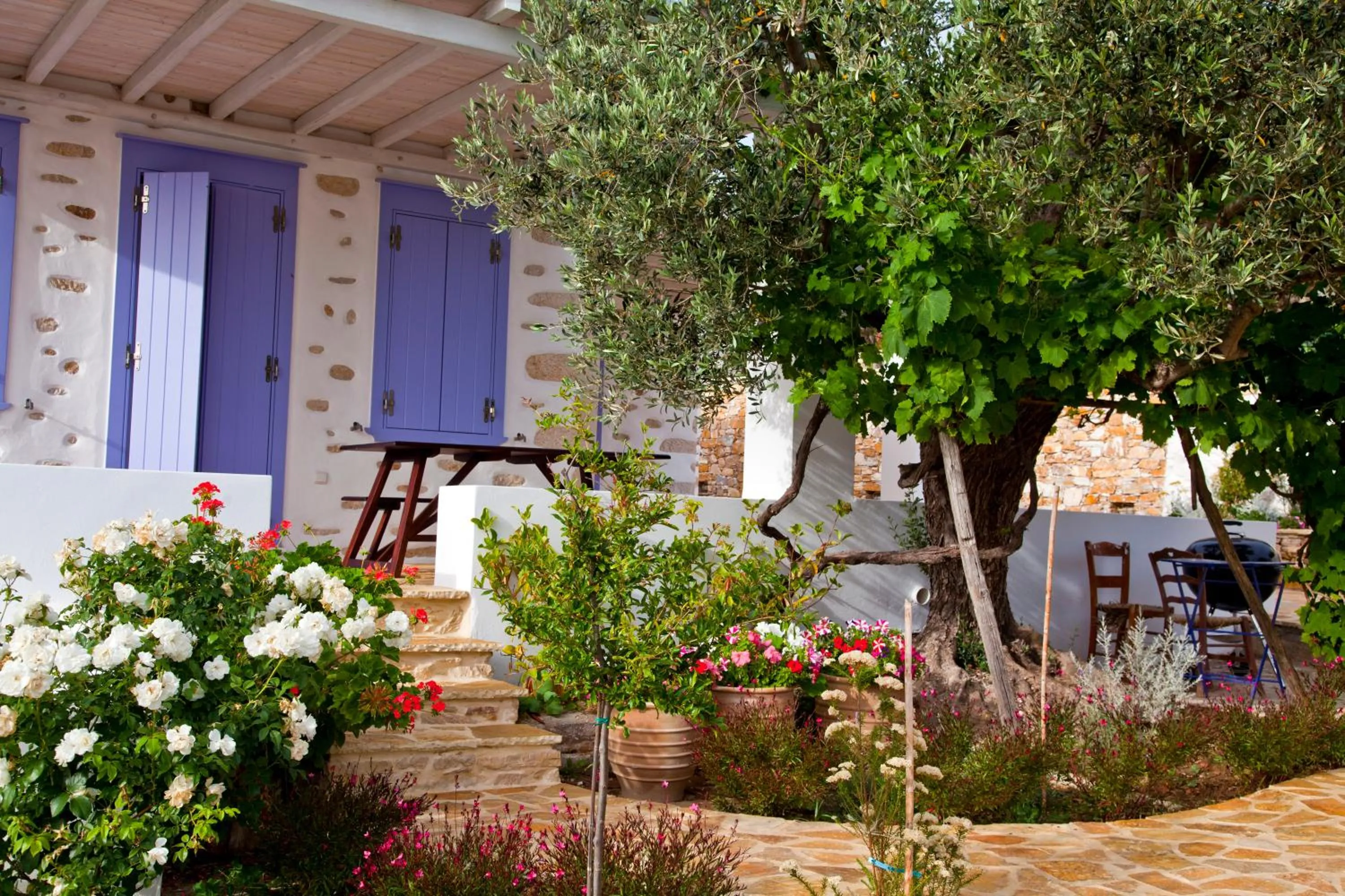 View (from property/room) in Good Life Greece Eco Villas