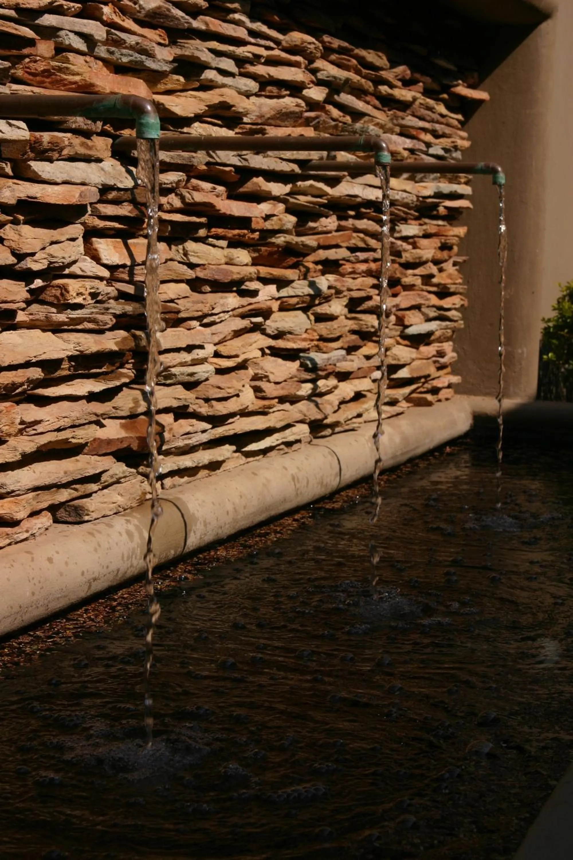 Garden in The Village in Hatfield