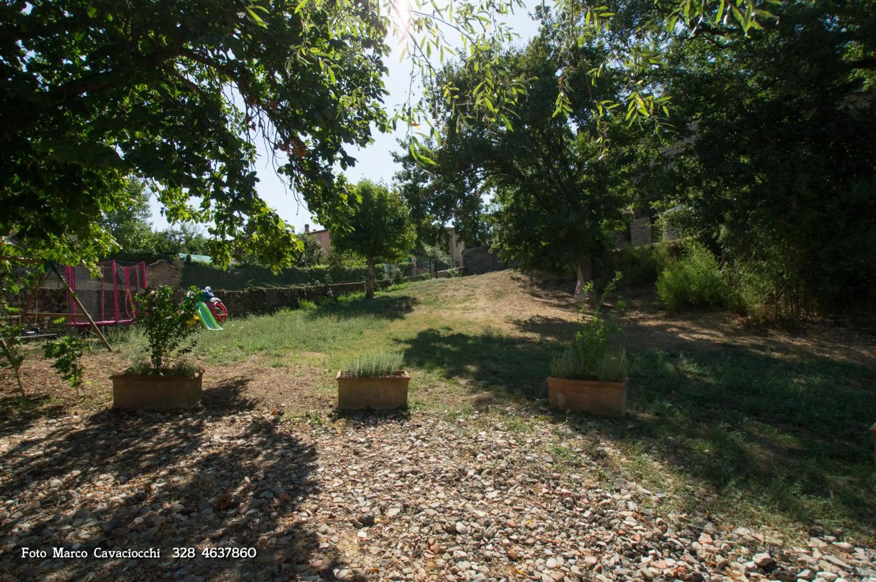 Garden in Il Bosso di Toscana