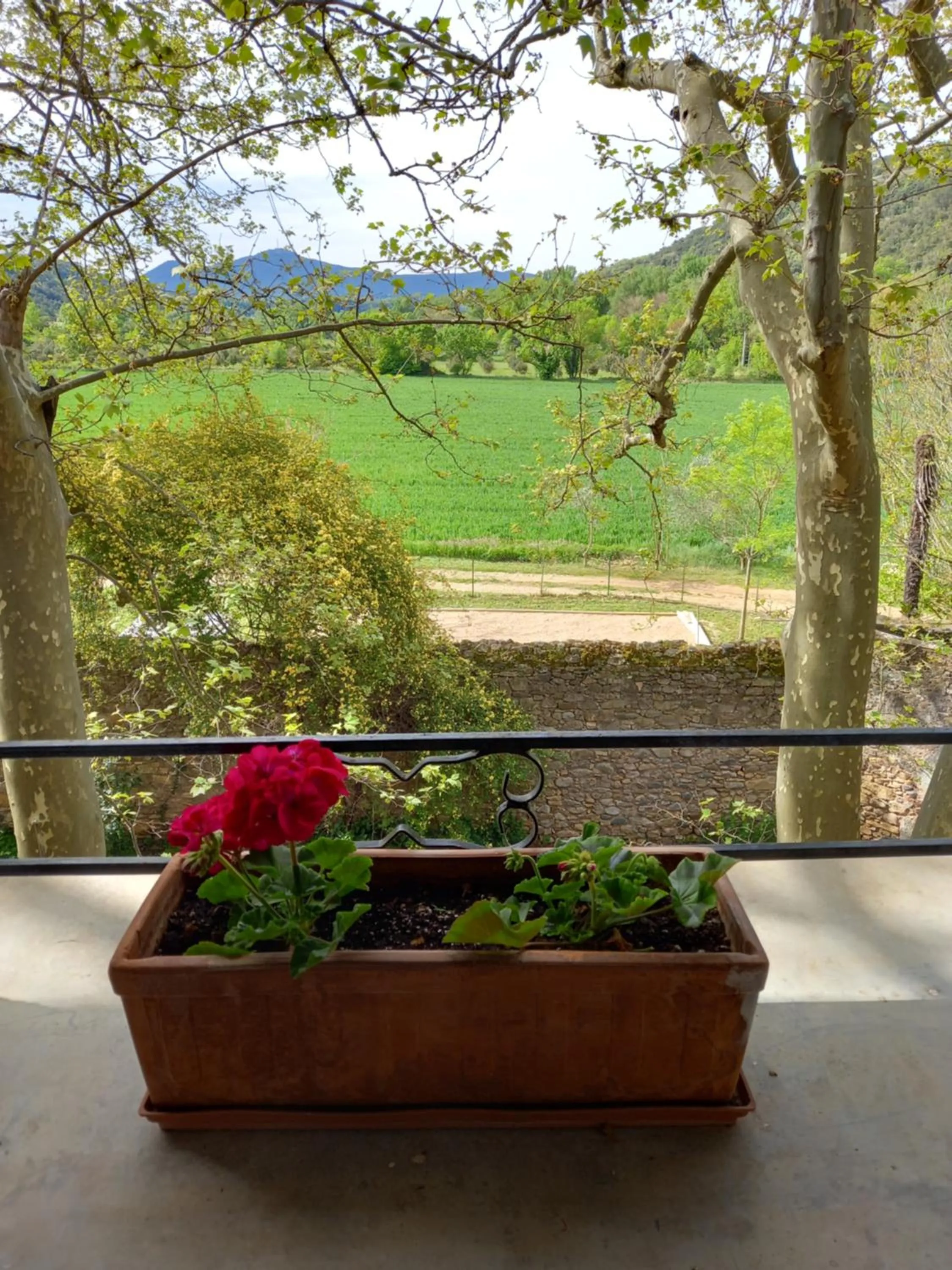 View (from property/room) in Chambres d'hôtes Domaine de Pélissols