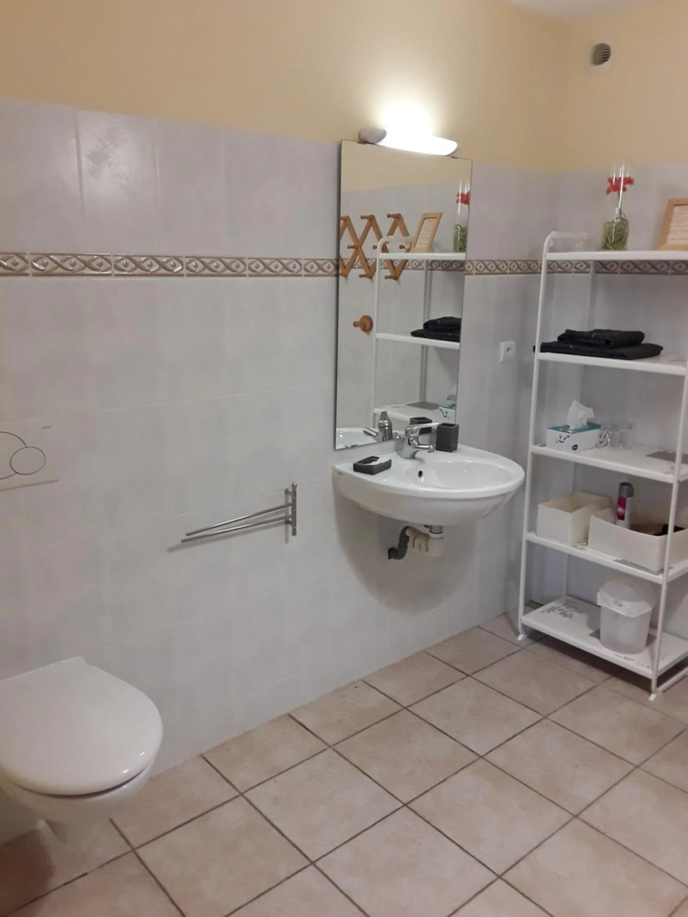 Toilet in La Parenthèse - Gîte de la Sittelle