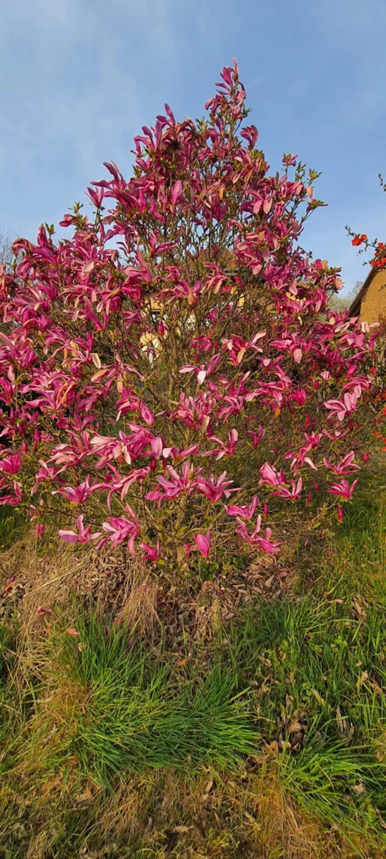 Spring in La Parenthèse - Gîte de la Sittelle