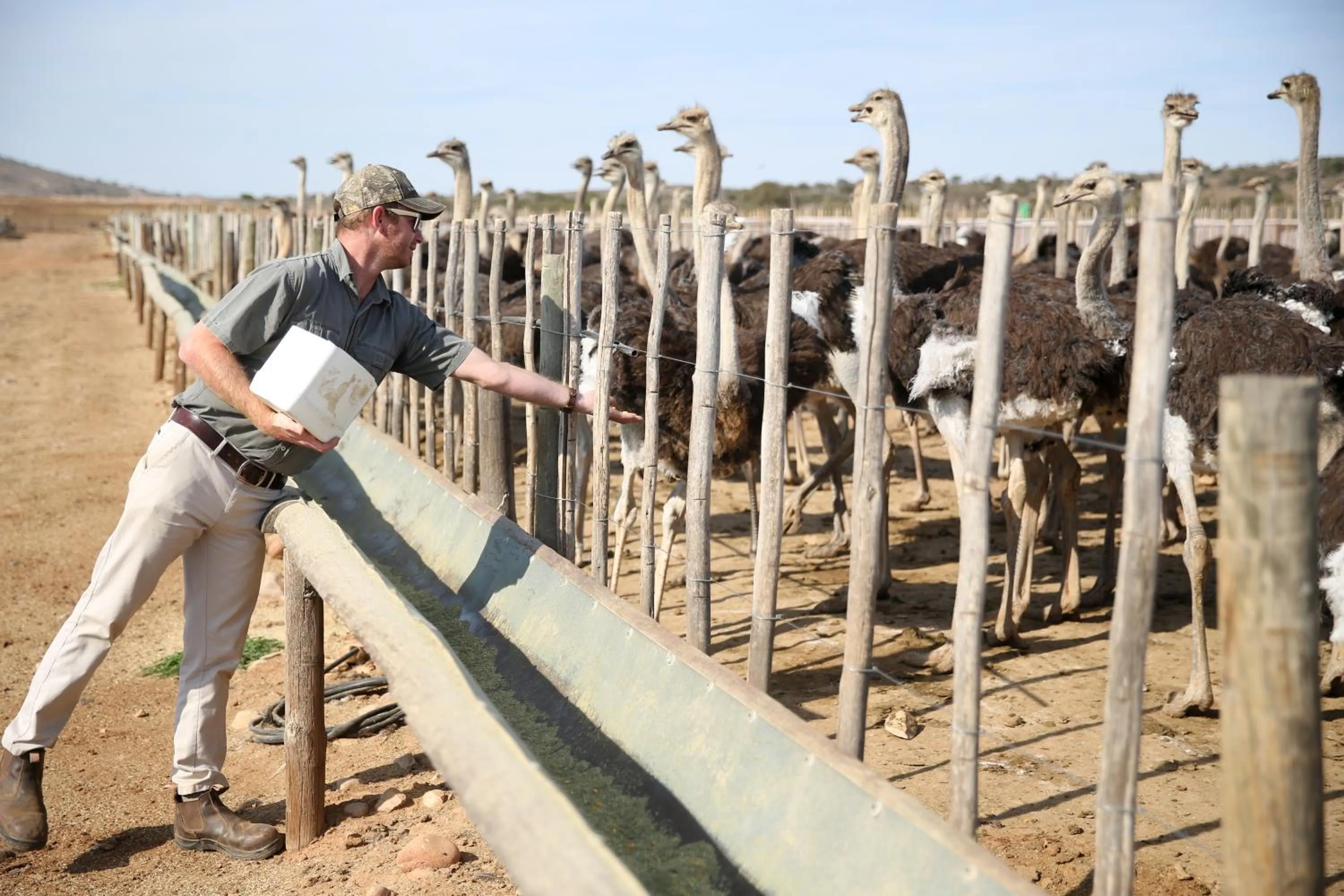 Activities in De Opstal Country Lodge