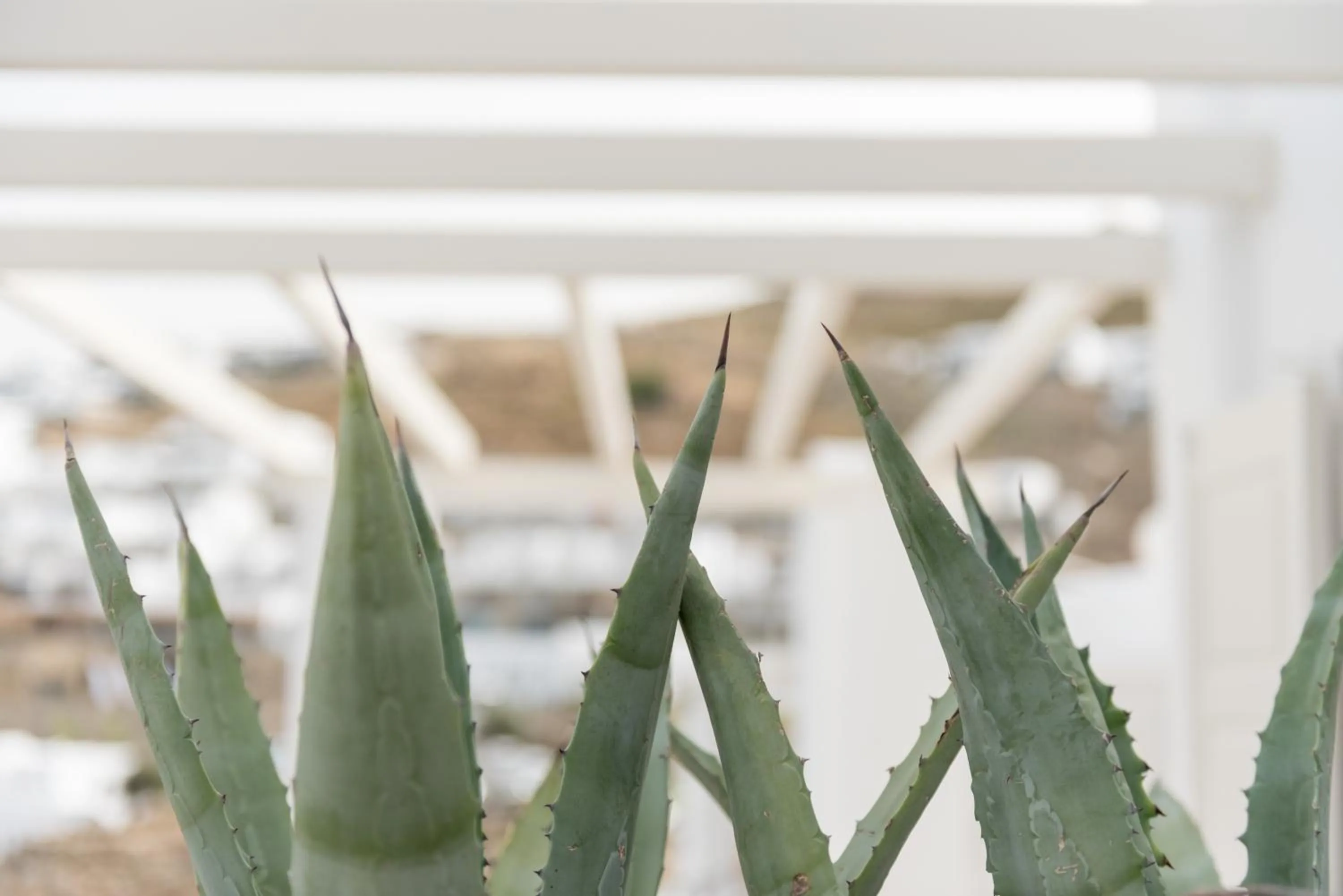 Decorative detail in Cova Mykonos Suites