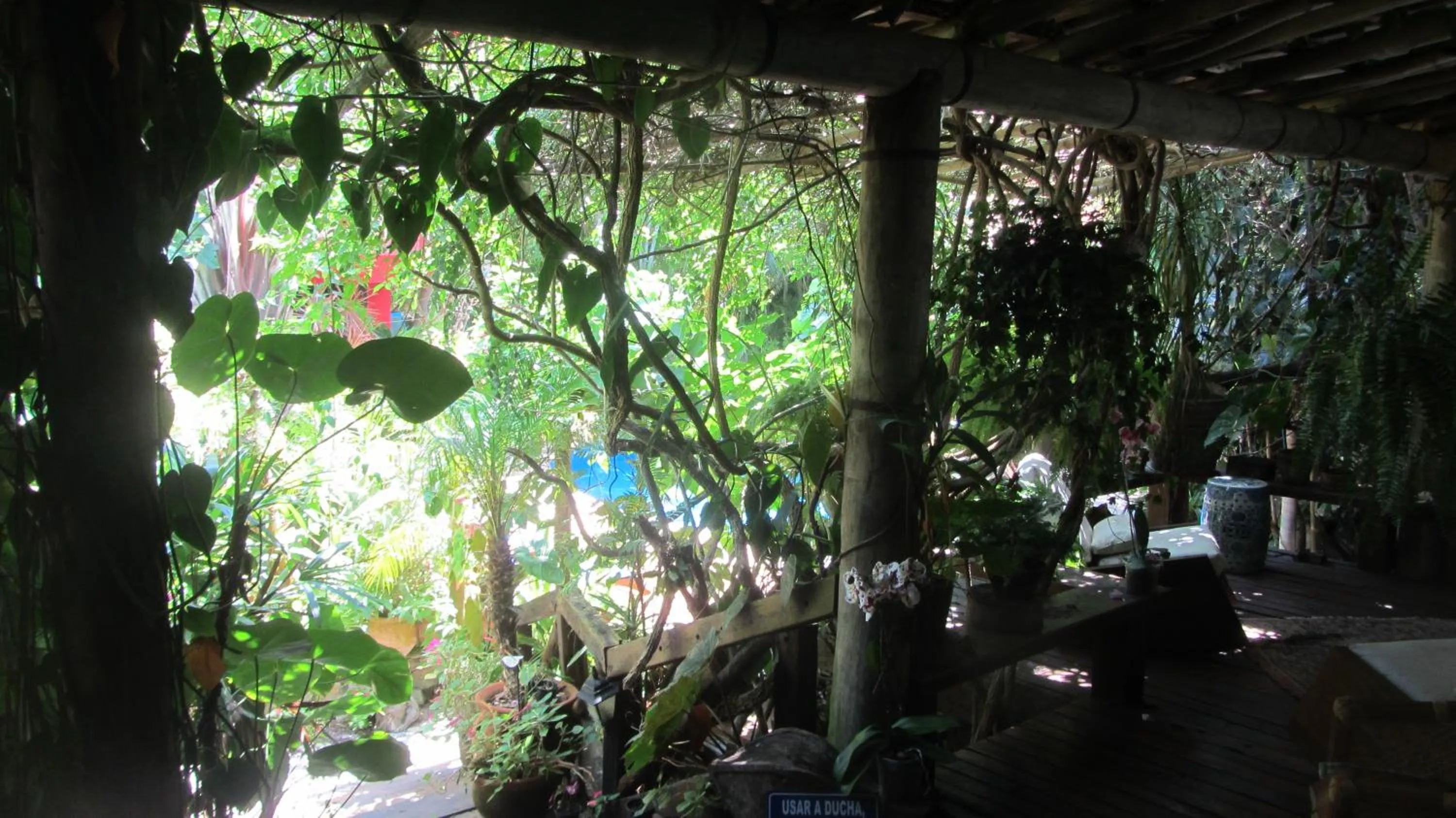 Natural landscape in Pousada Pilar