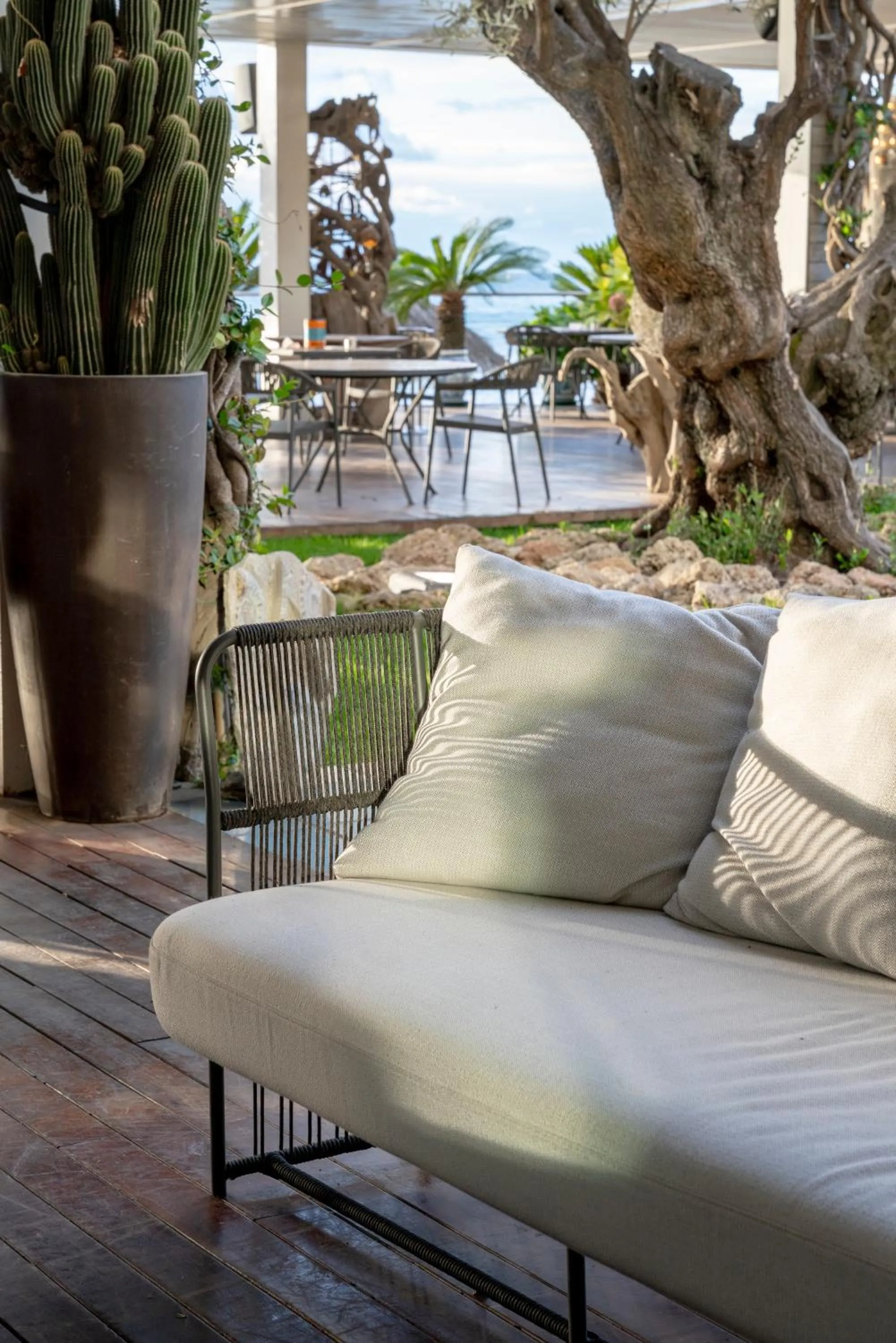 Restaurant/places to eat in Mare Hotel