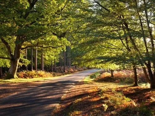 Other in Beddoe Apartments