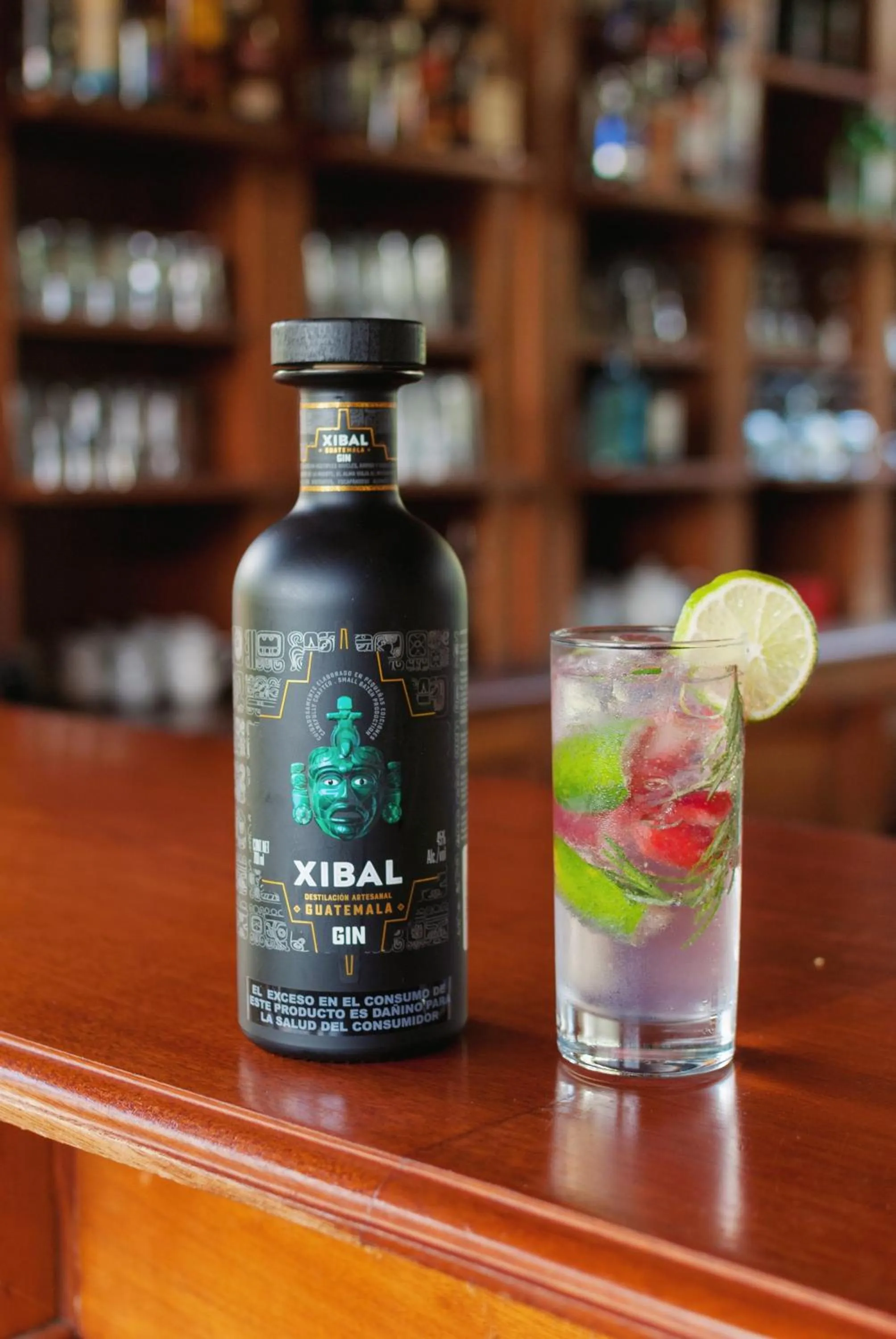 Lounge or bar in Hotel Toliman