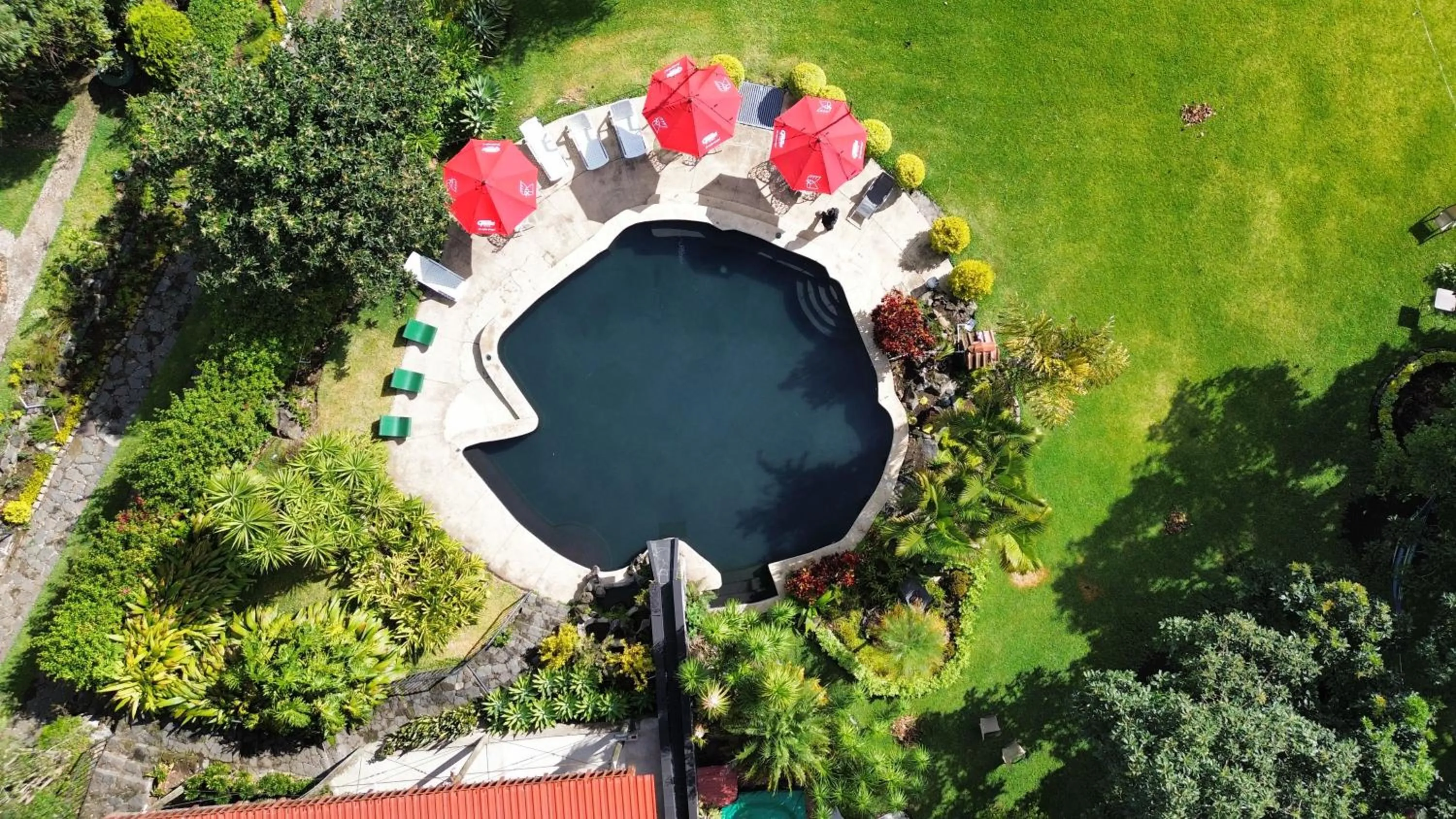 Pool view in Hotel Toliman