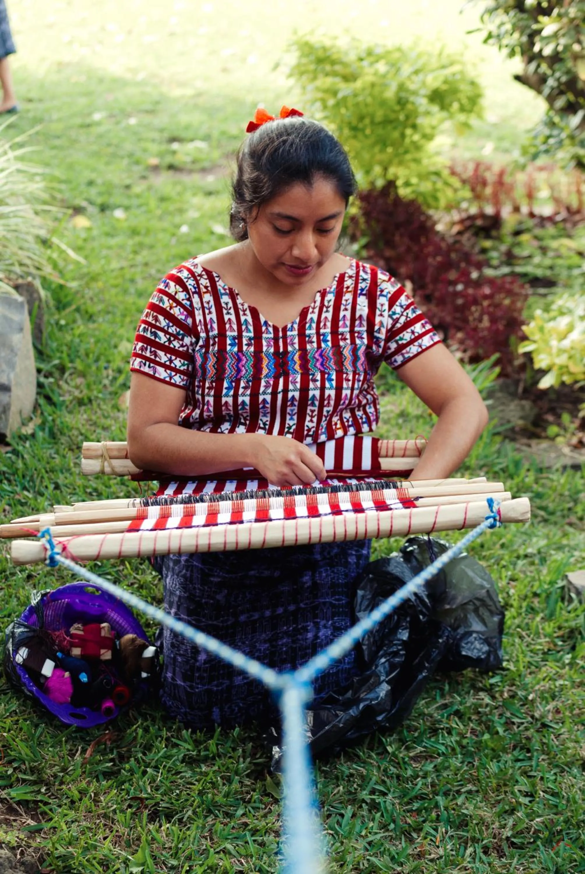 Activities in Hotel Toliman