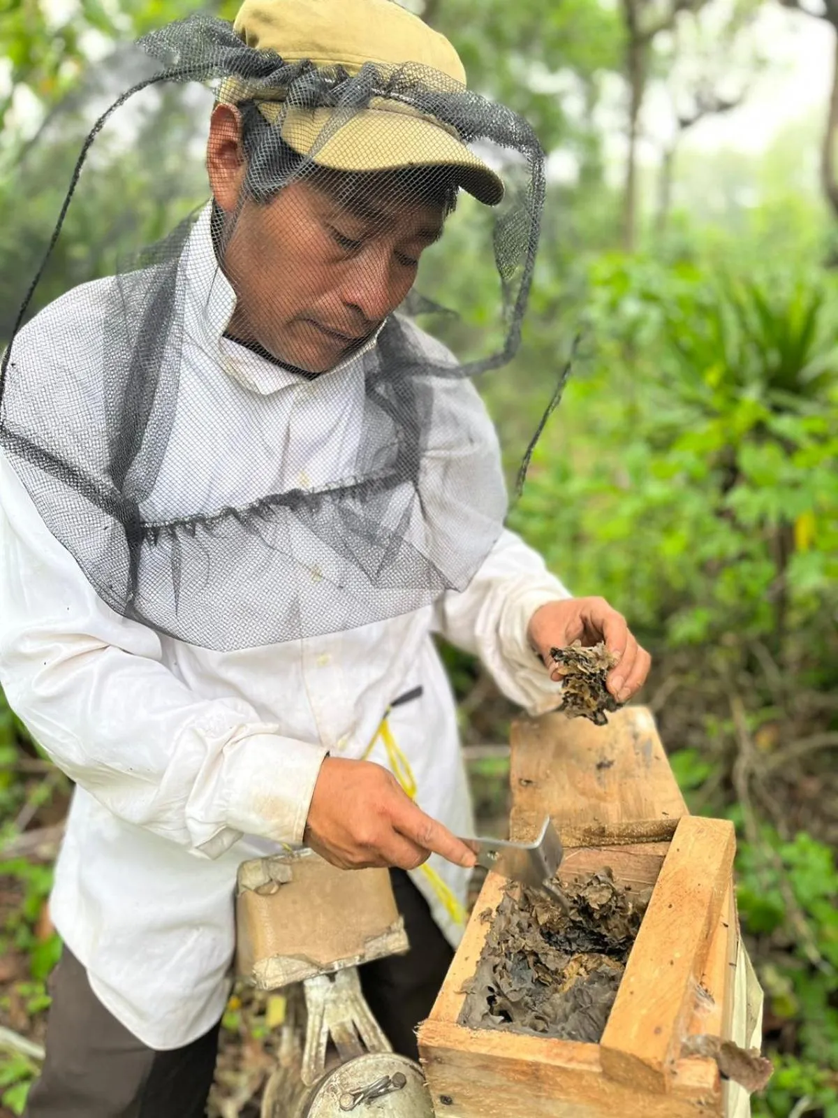 Activities in Hotel Toliman