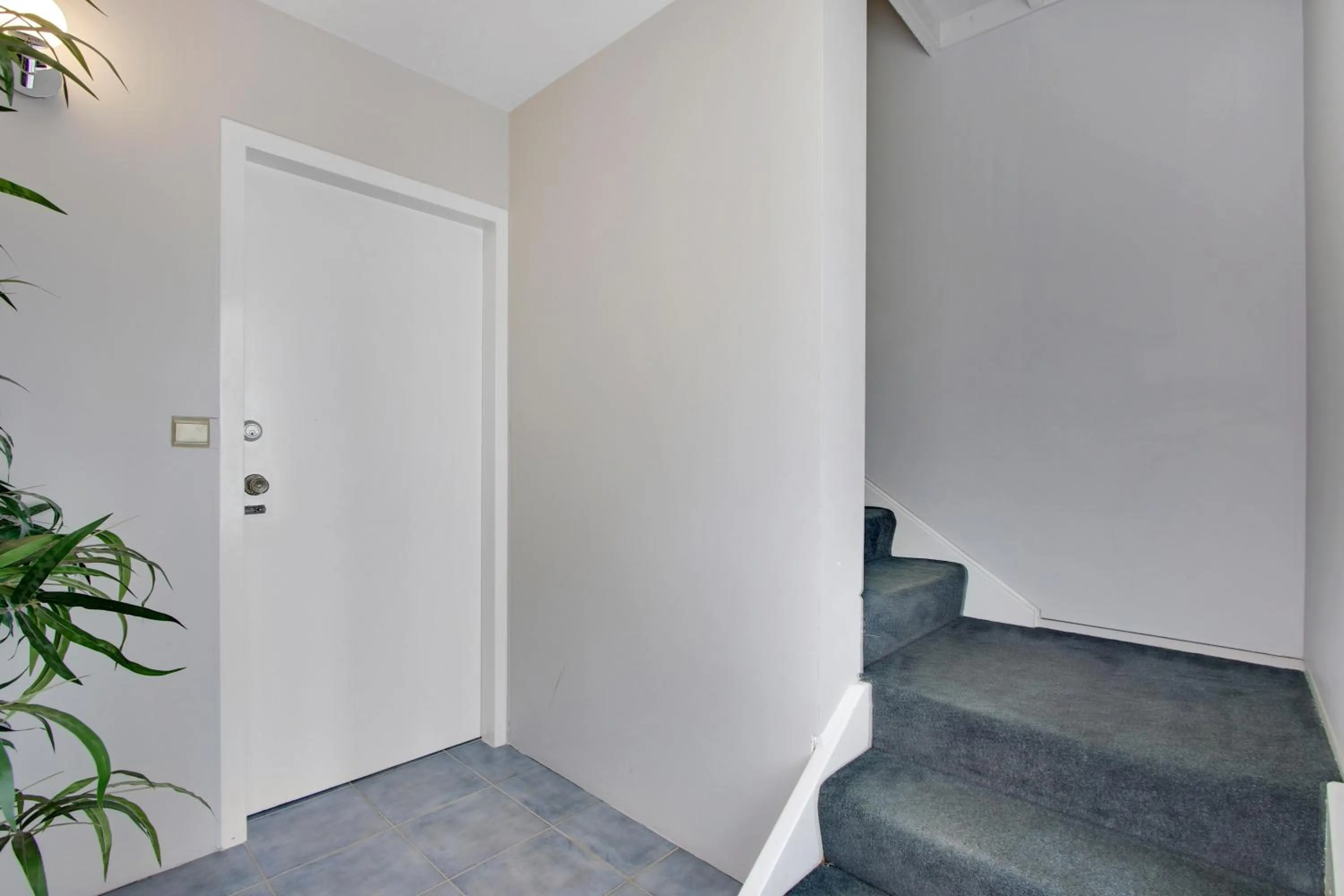 Area and facilities in Hybiscus Waterfront Apartments