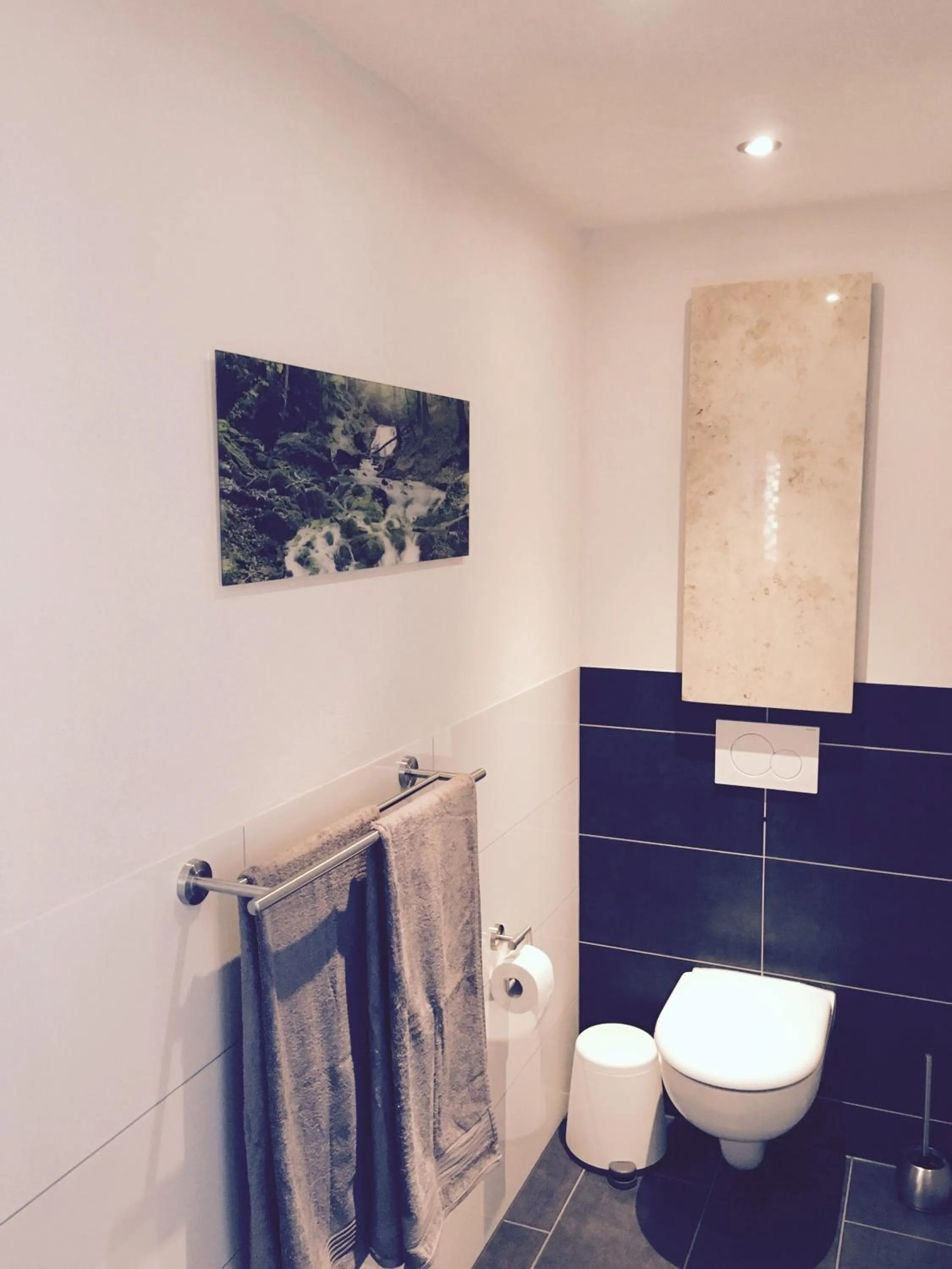 Toilet in Die 19