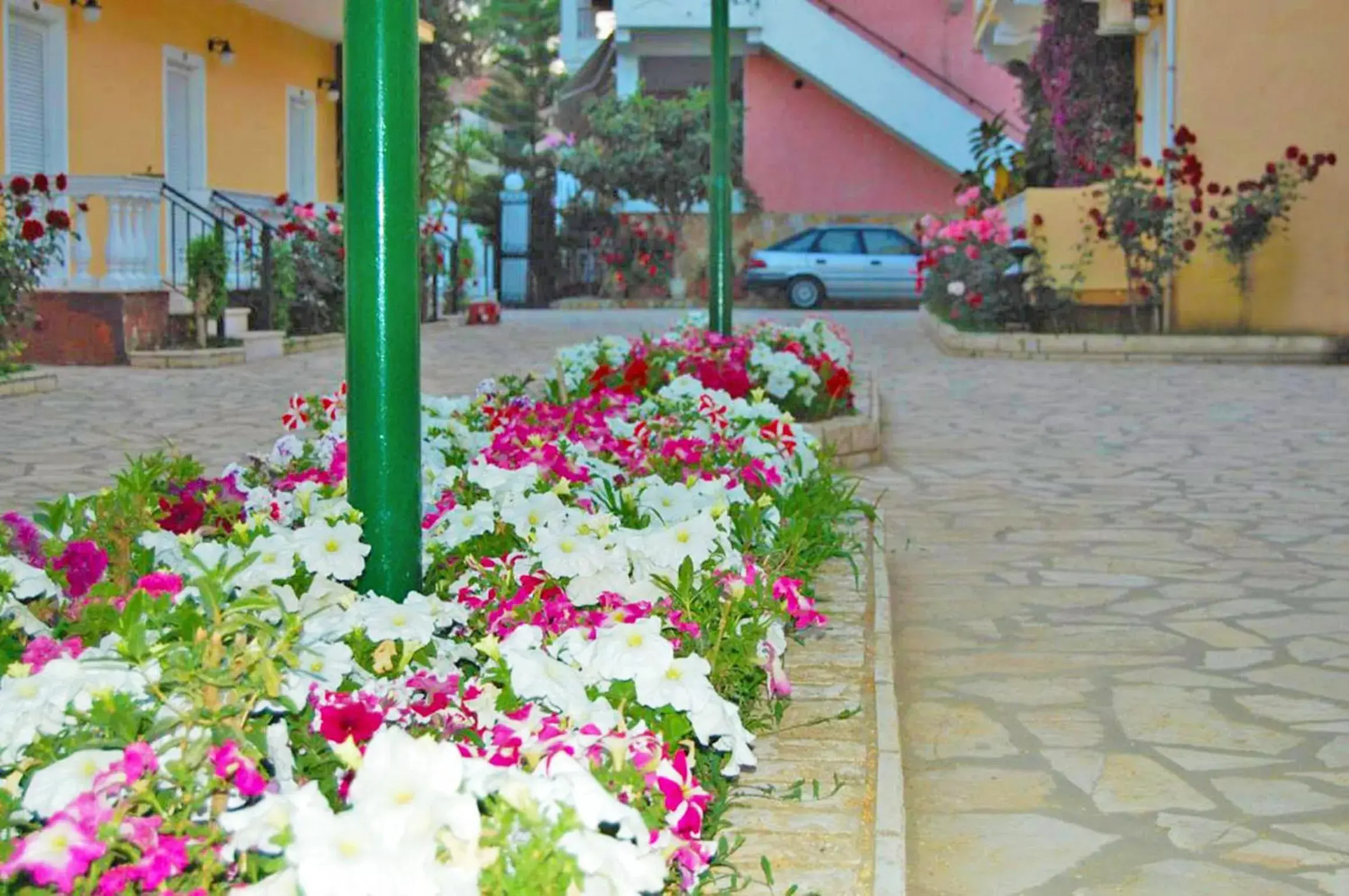 Facade/entrance in Complex Lemon Grove Facade/entrance in Complex Lemon Grove