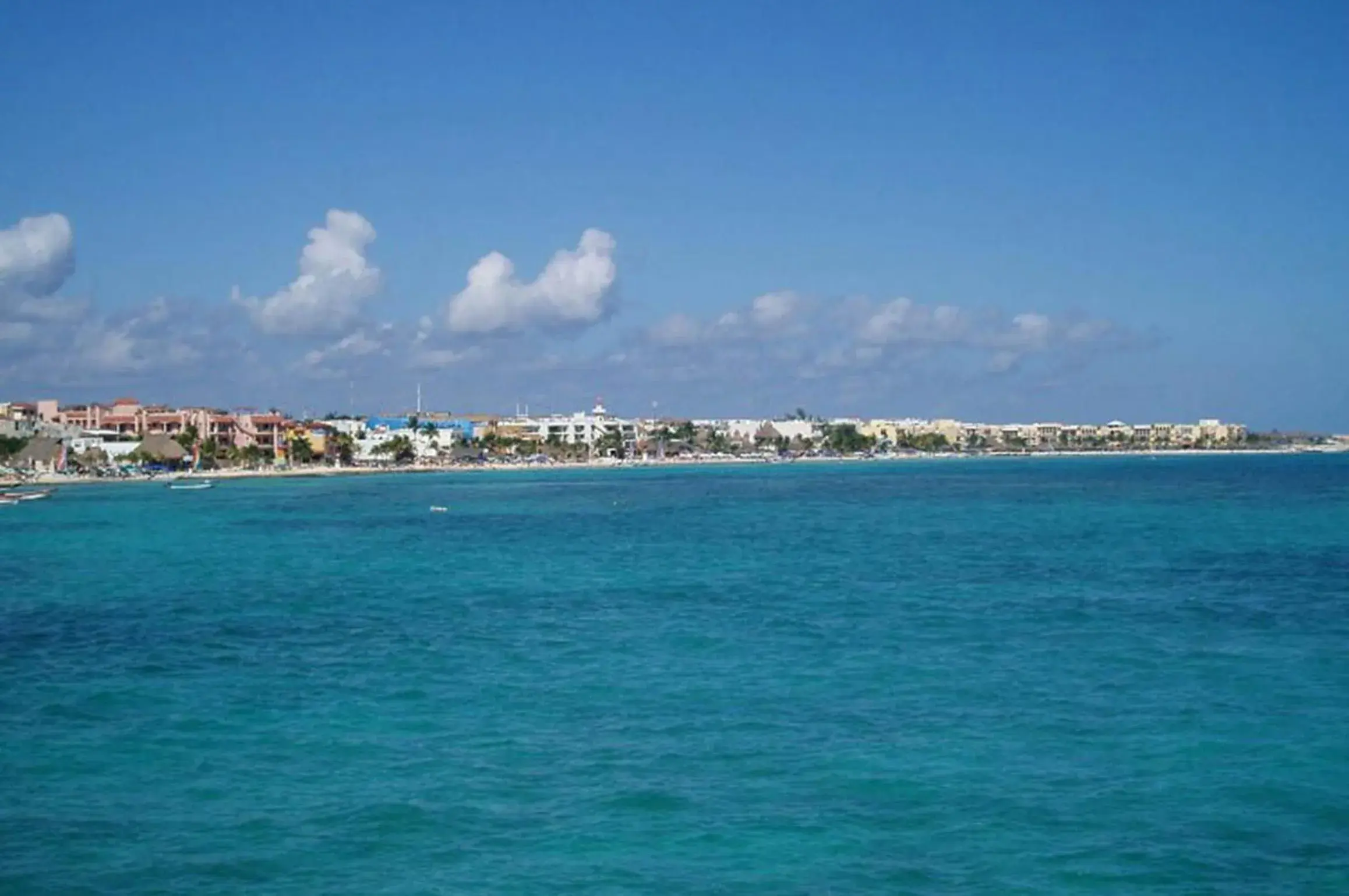 Complex Lemon Grove Complex Lemon Grove