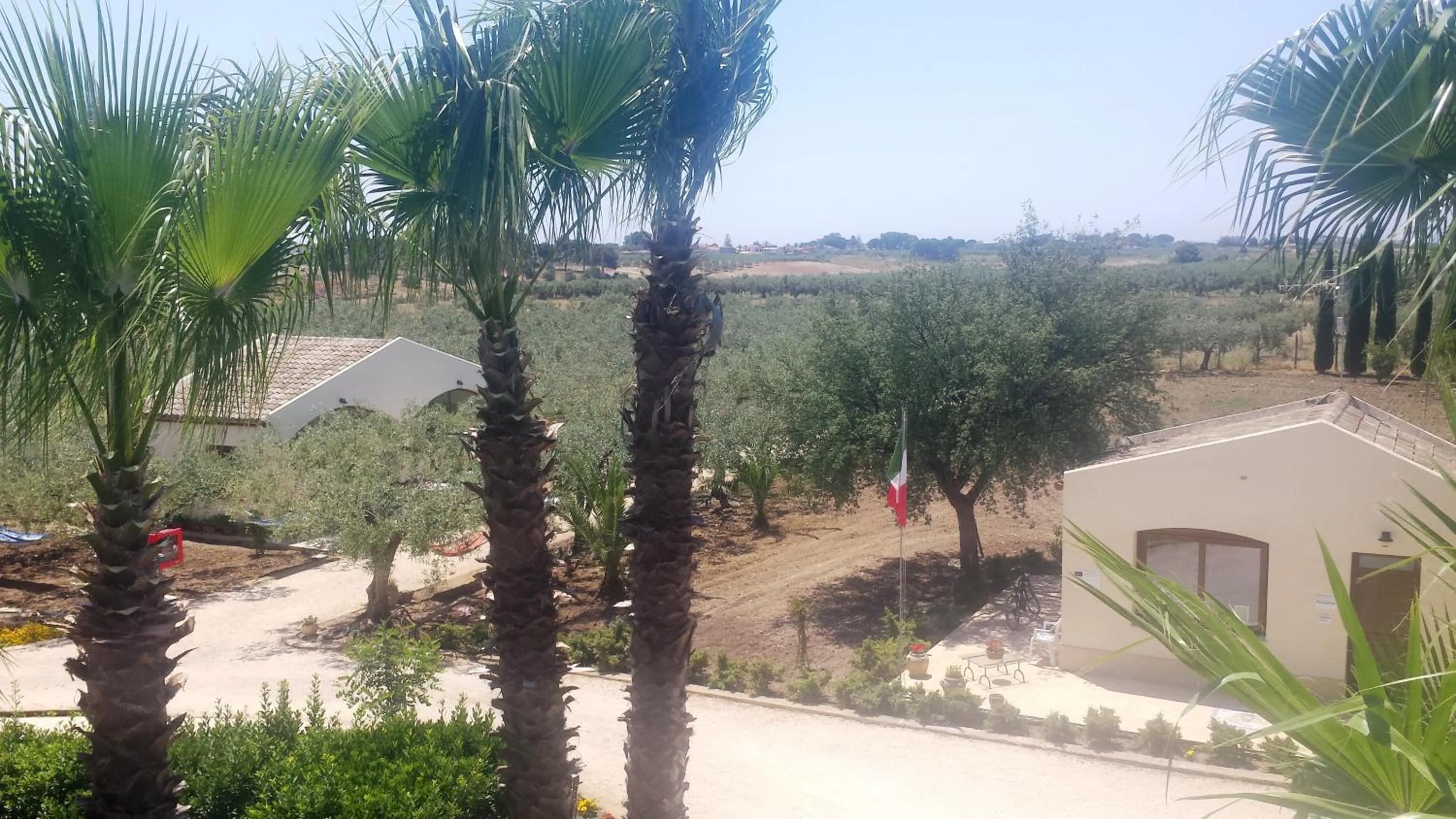 Bird's eye view in Agrisicilia (Relax Mare e Natura)