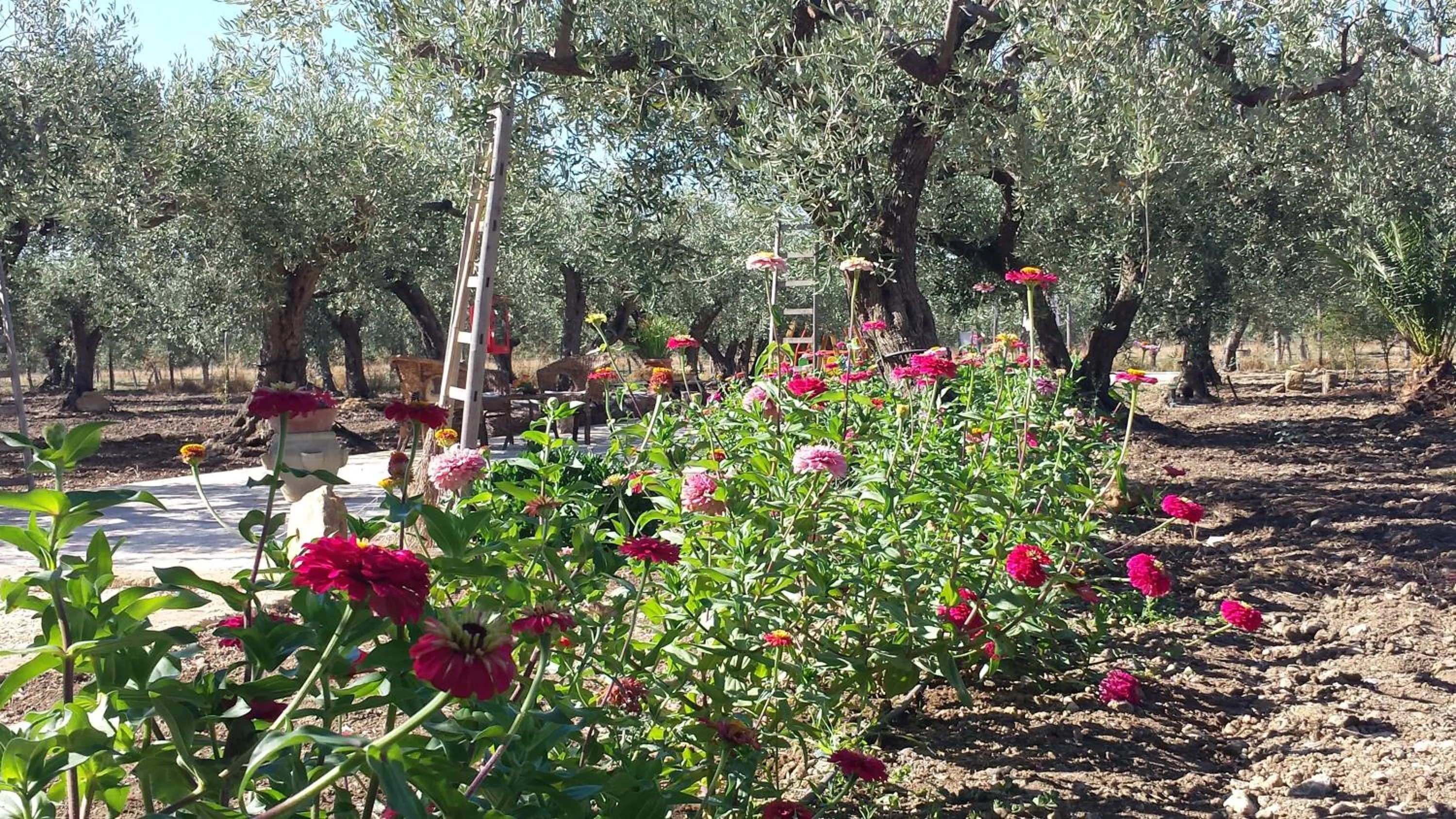 Agrisicilia (Relax Mare e Natura)