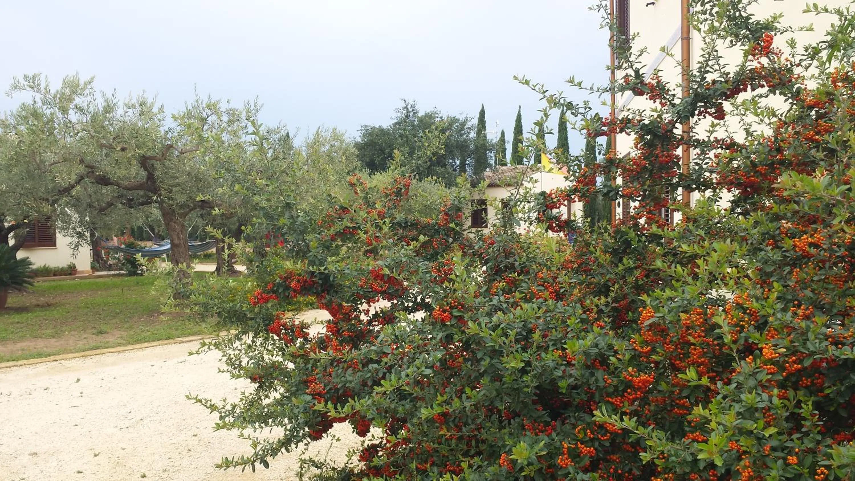 Agrisicilia (Relax Mare e Natura)