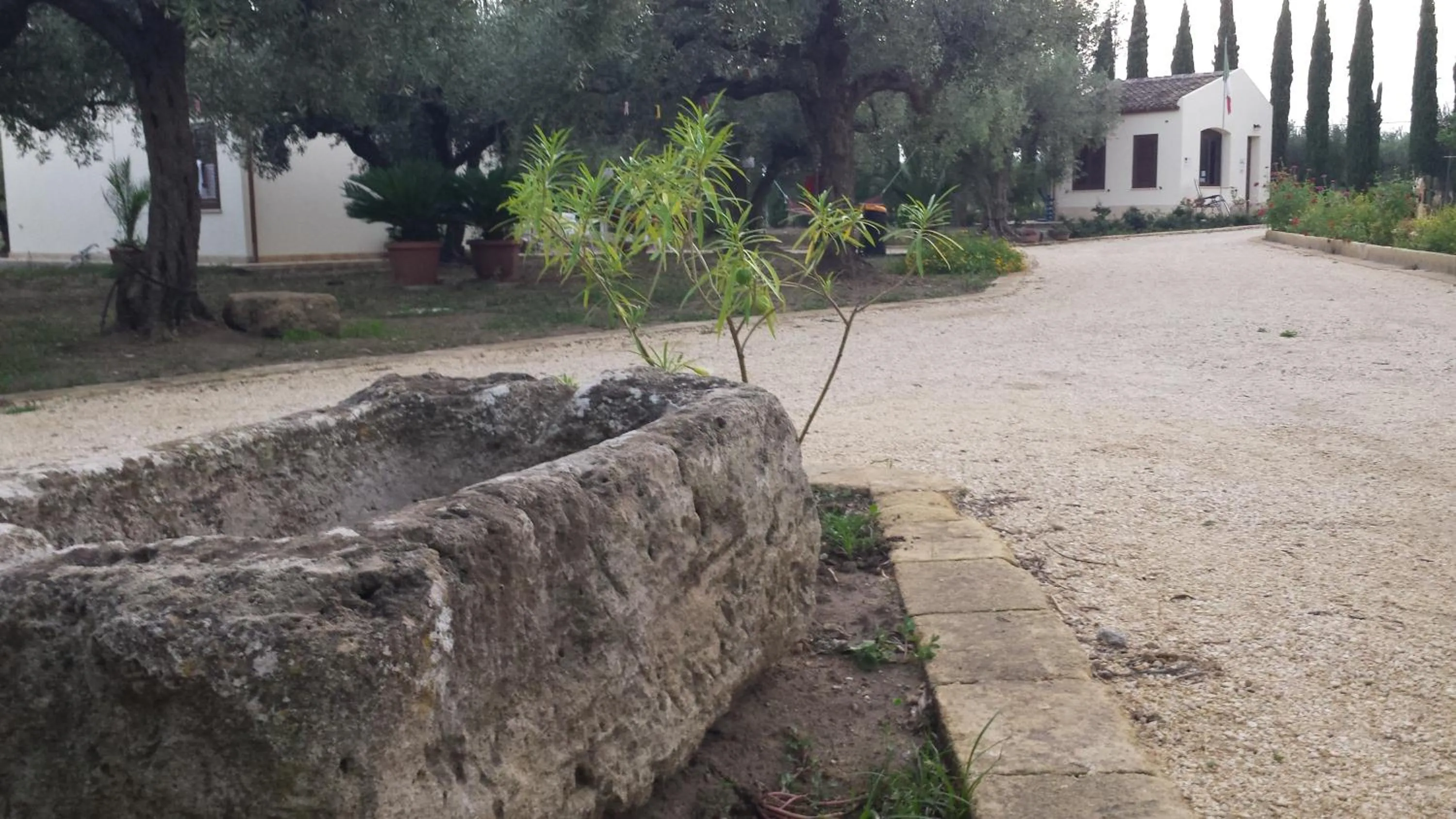 Decorative detail in Agrisicilia (Relax Mare e Natura)