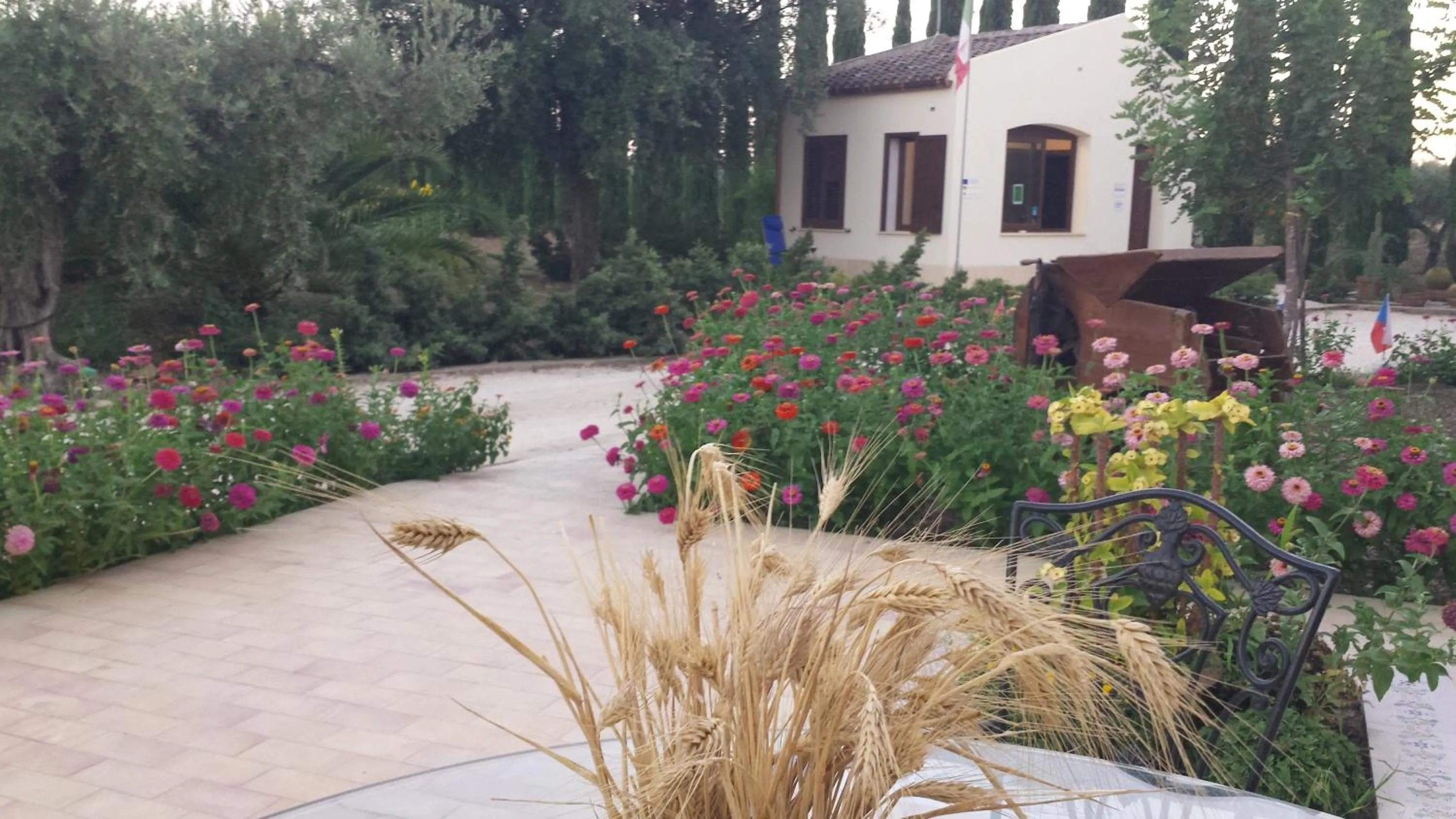 Garden view in Agrisicilia (Relax Mare e Natura)