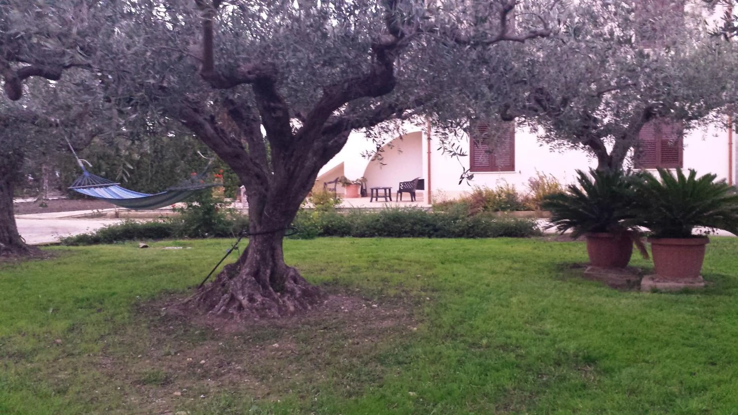 Agrisicilia (Relax Mare e Natura)