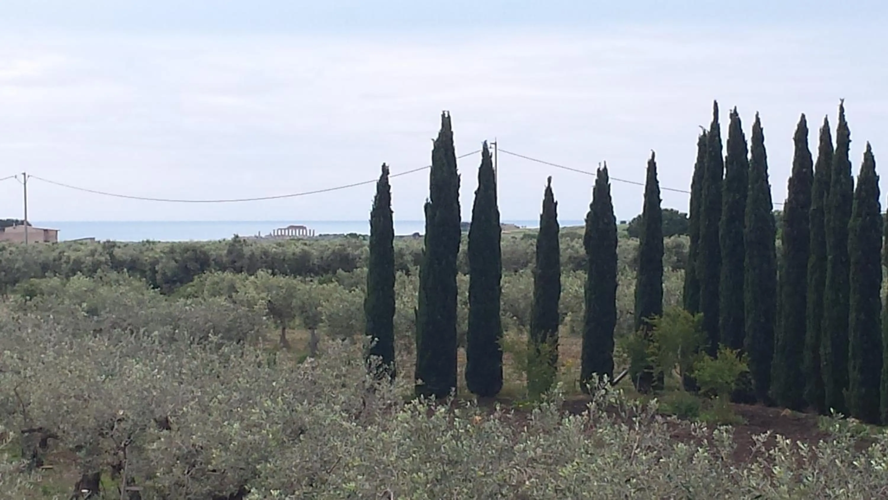 Landmark view in Agrisicilia (Relax Mare e Natura)