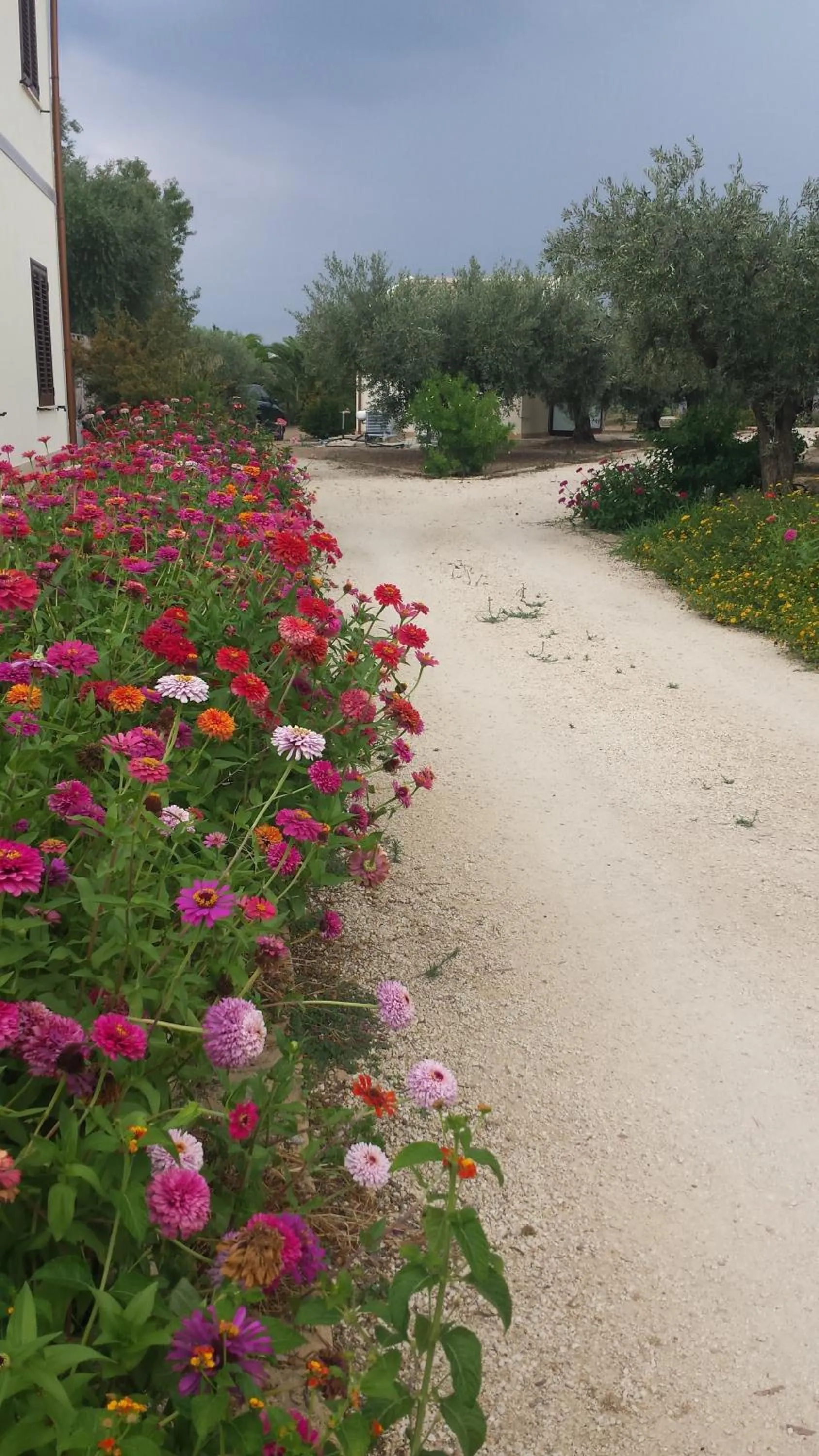 Street view in Agrisicilia (Relax Mare e Natura)