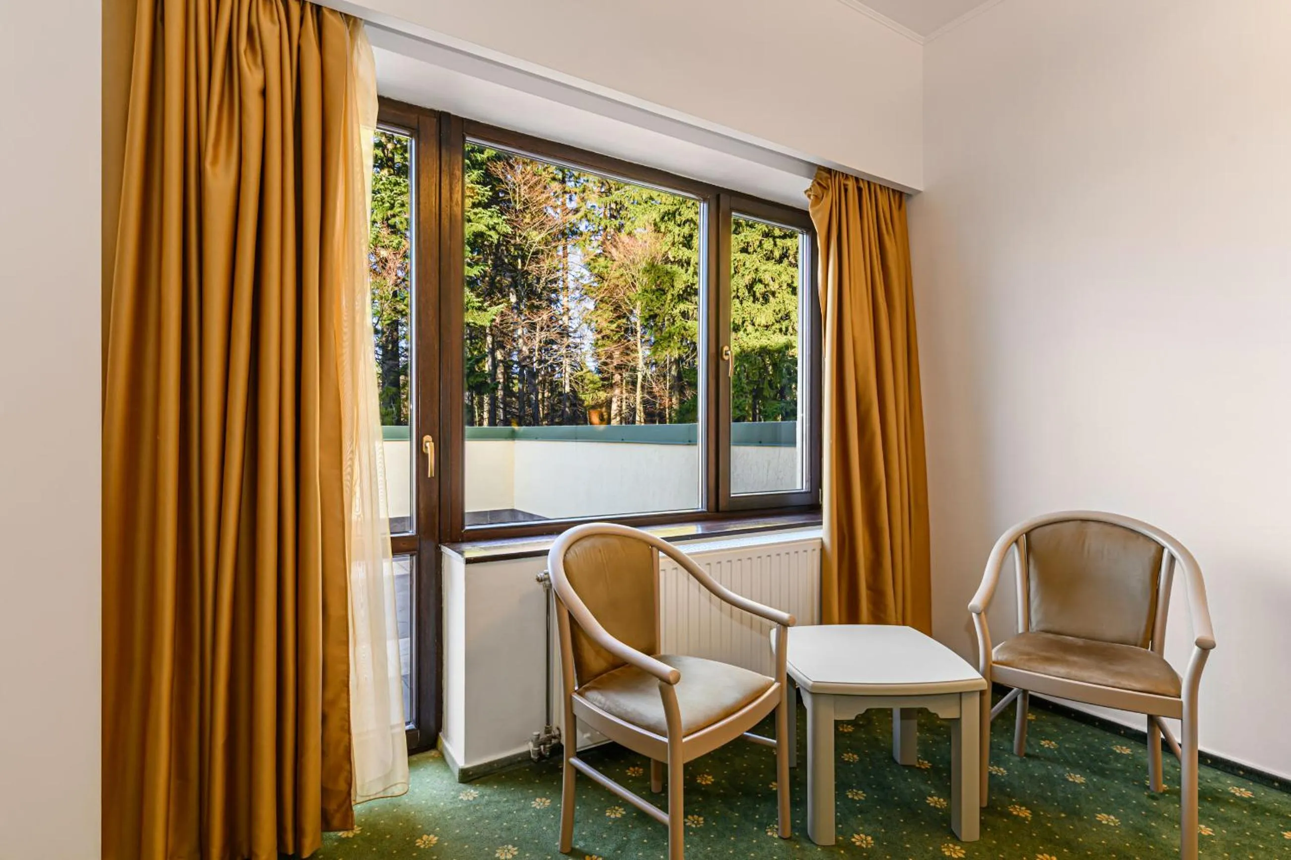 Living room in Hotel Casa Viorel jacuzzi & saunas