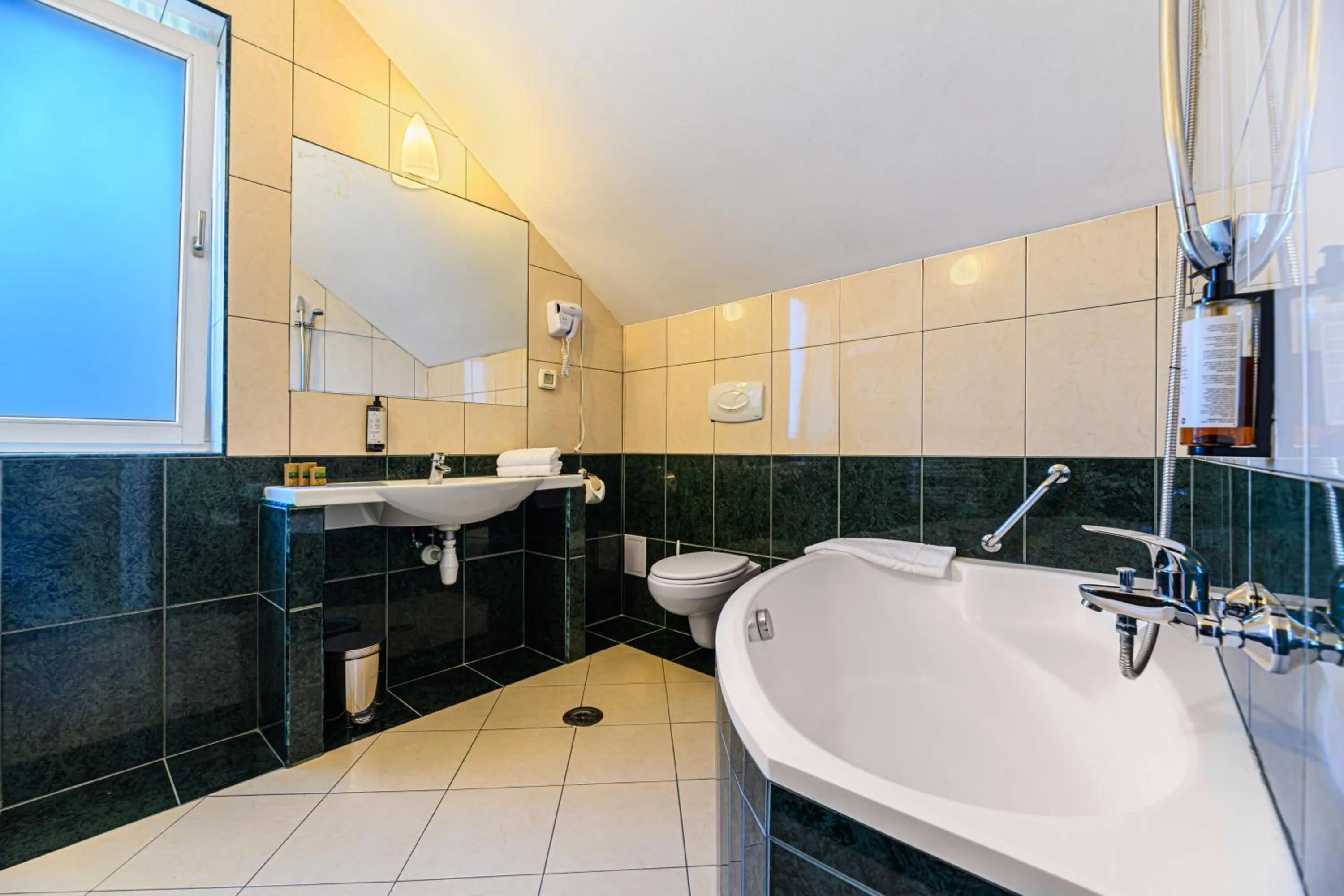 Bathroom in Hotel Casa Viorel jacuzzi & saunas