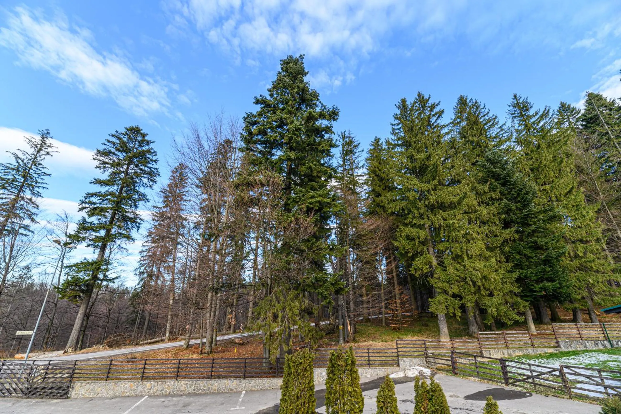 Spring in Hotel Casa Viorel jacuzzi & saunas