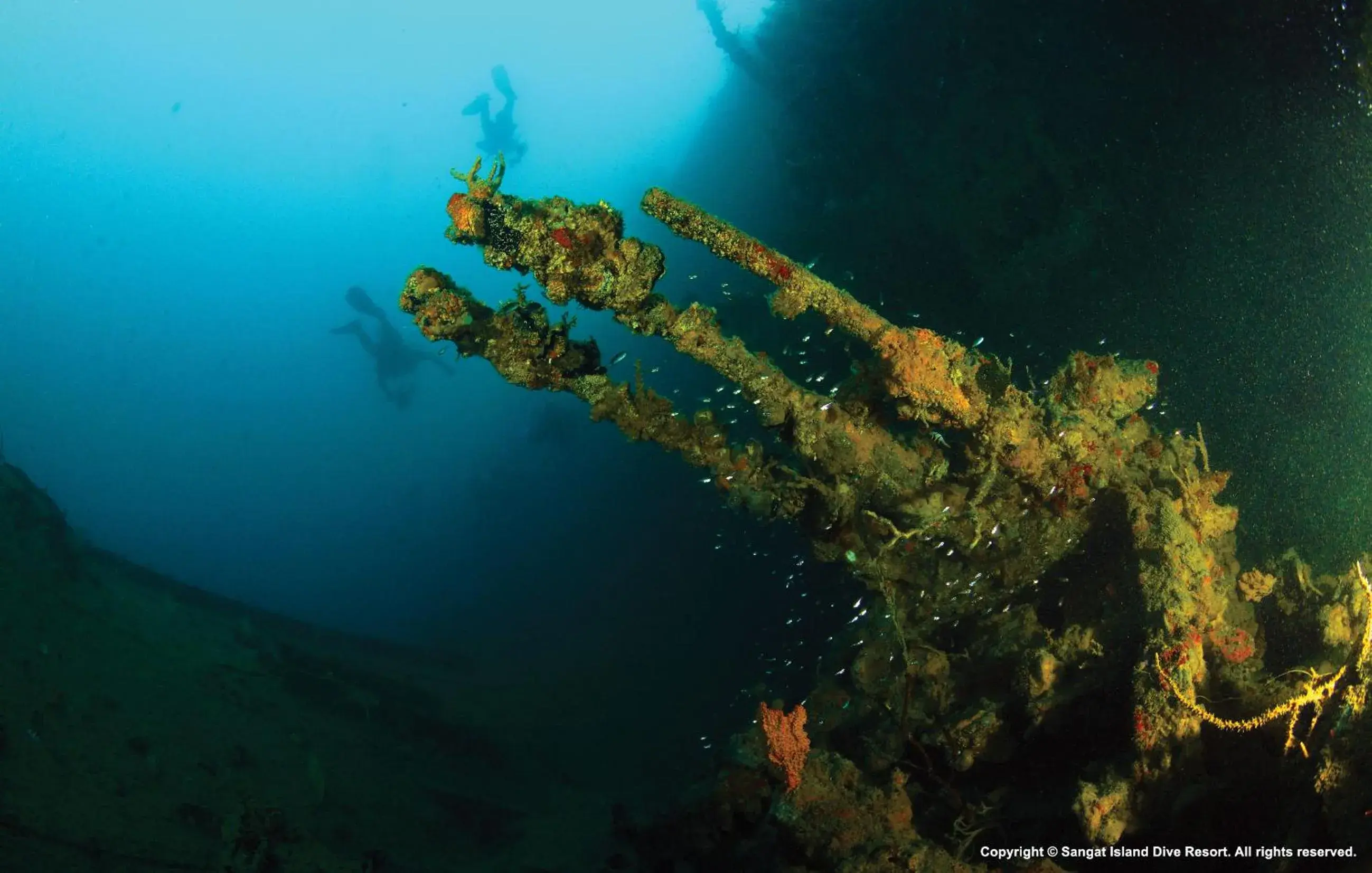 Other in Sangat Island Dive Resort Other in Sangat Island Dive Resort