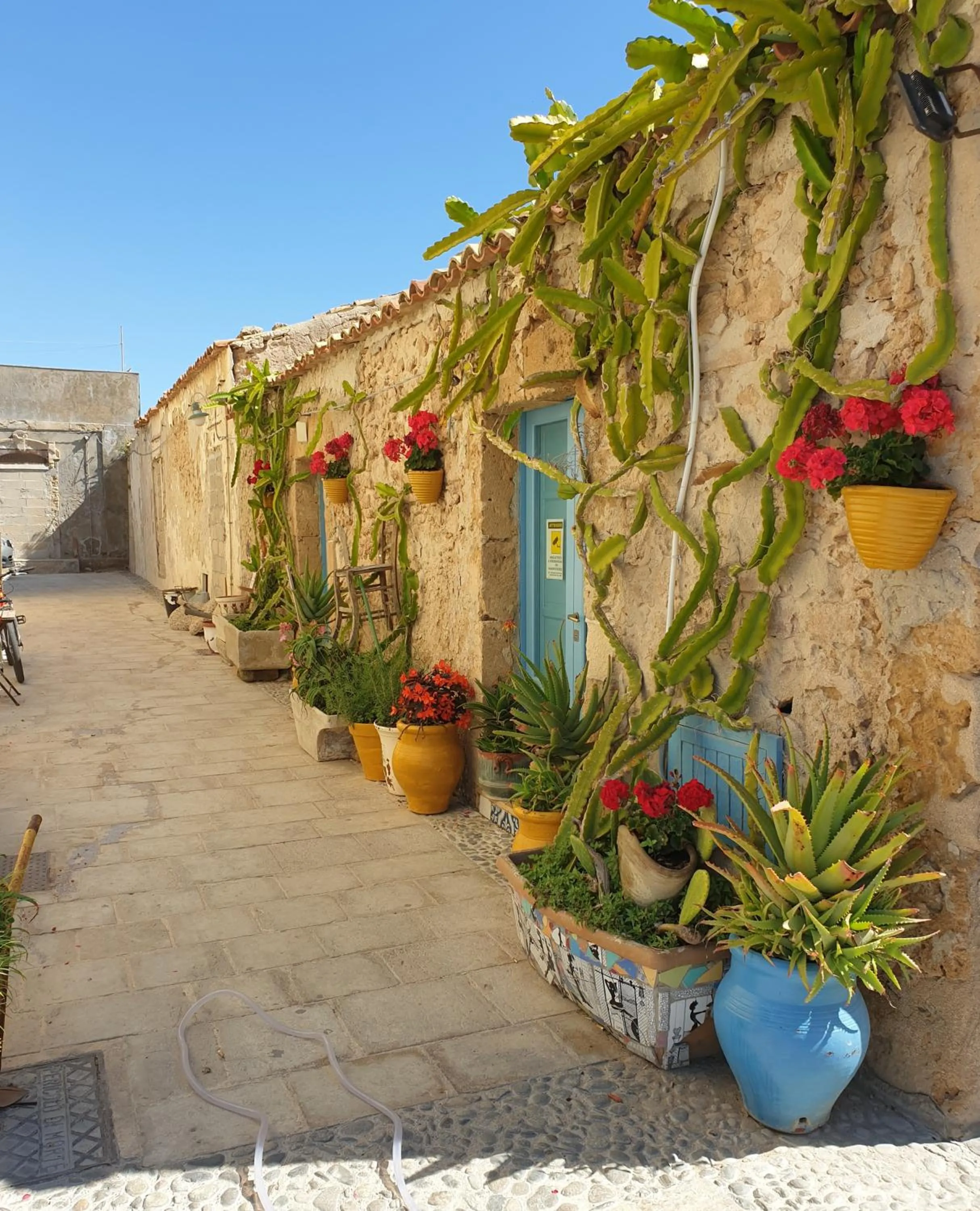 B&B L'Uliveto Rooms & Pool
